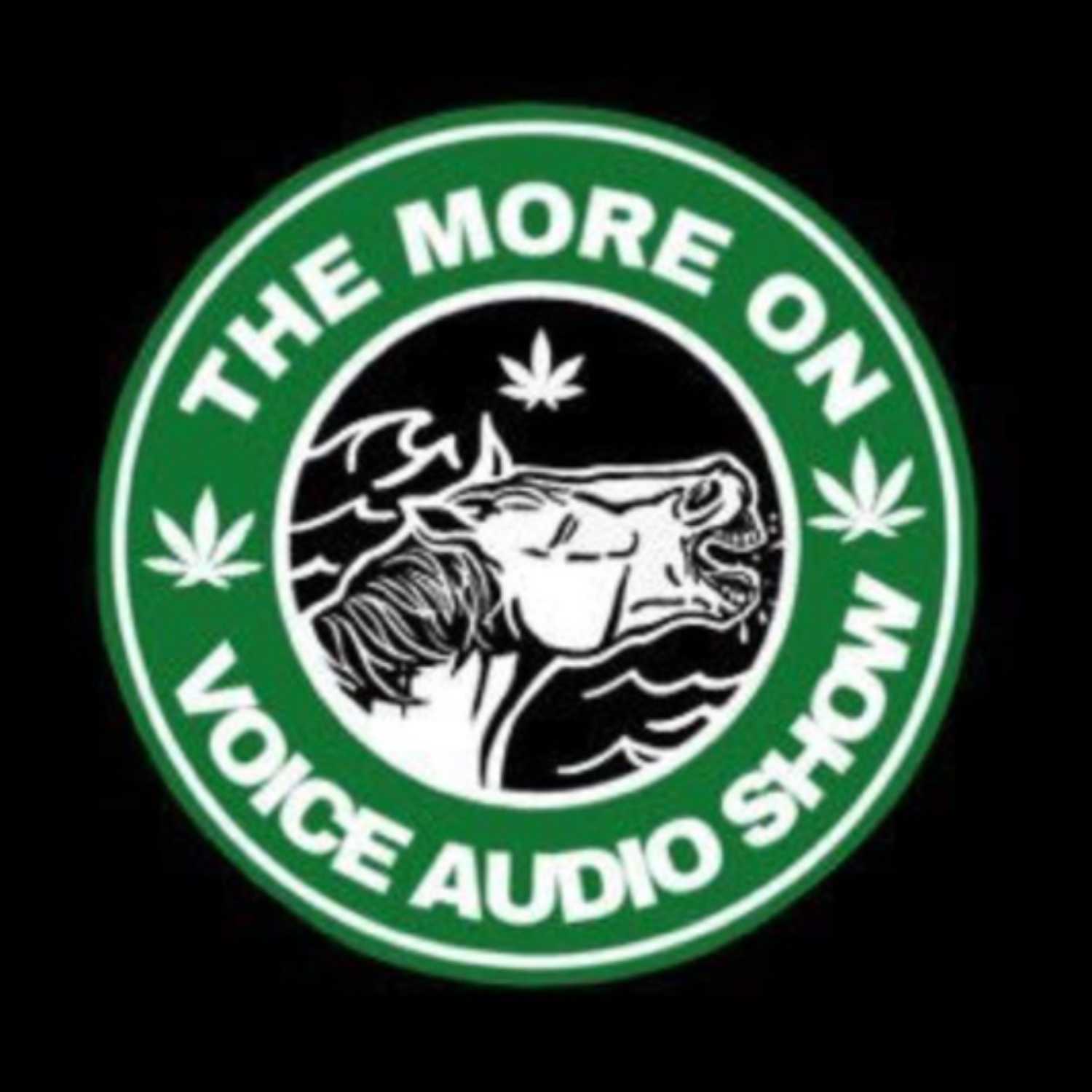 The More On Voice Audio Show