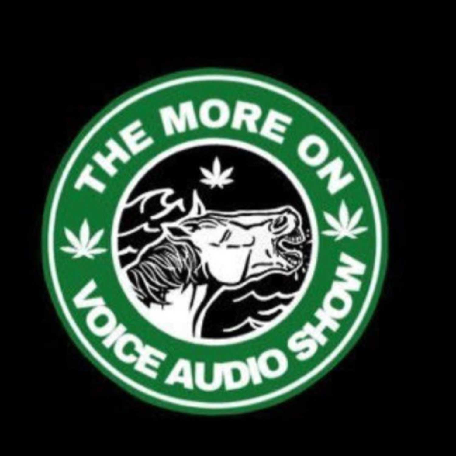 The More On Voice Audio Show: Episode 34 "Music You Dislike Deep Dive" (blink-182) episode artwork
