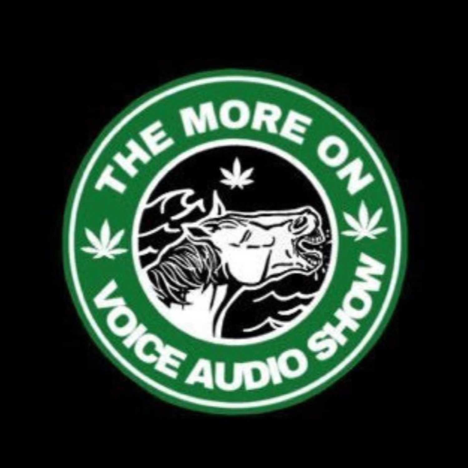 The More On Voice Audio Show: Episode 35 episode artwork