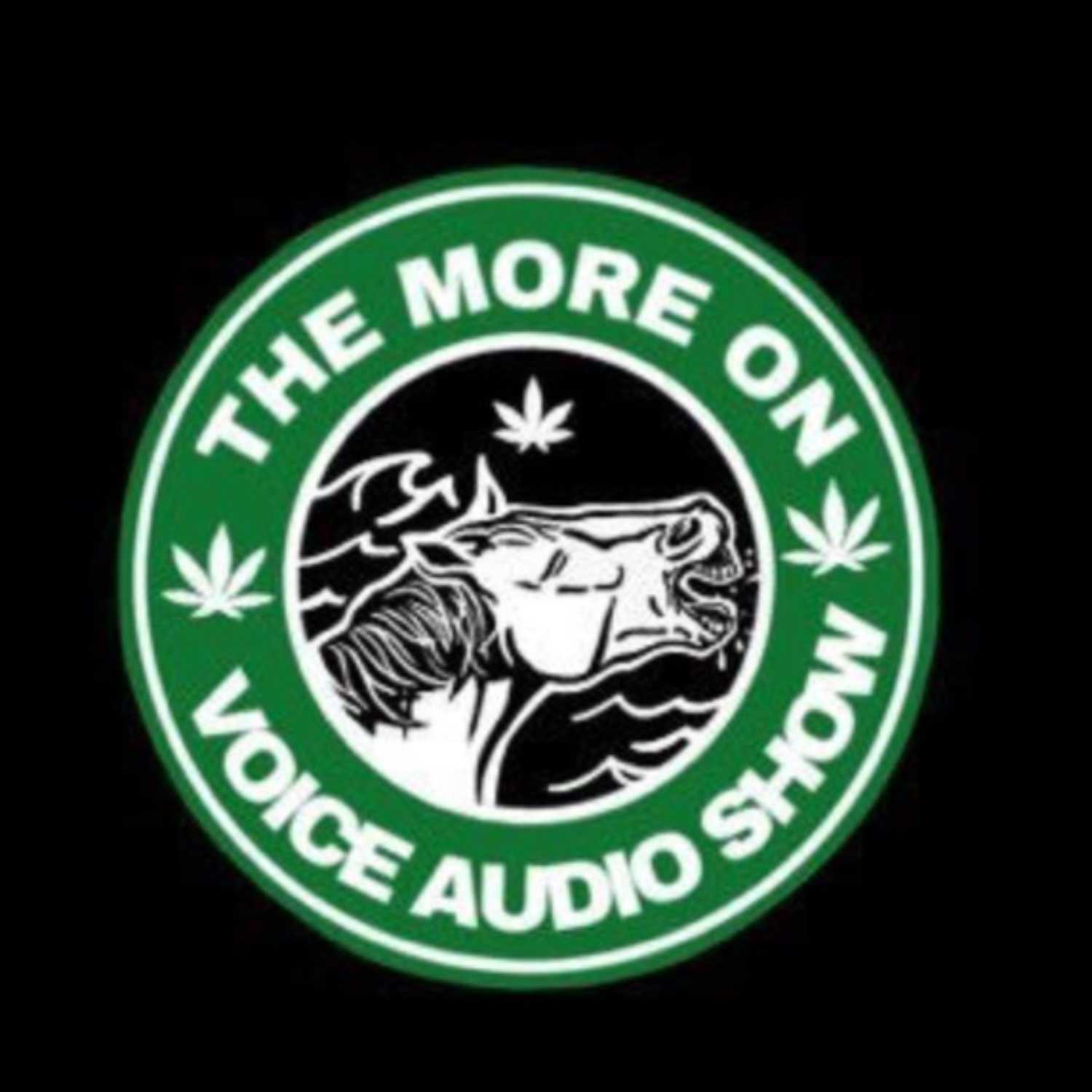 The More On Voice Audio Show: Episode 37 episode artwork