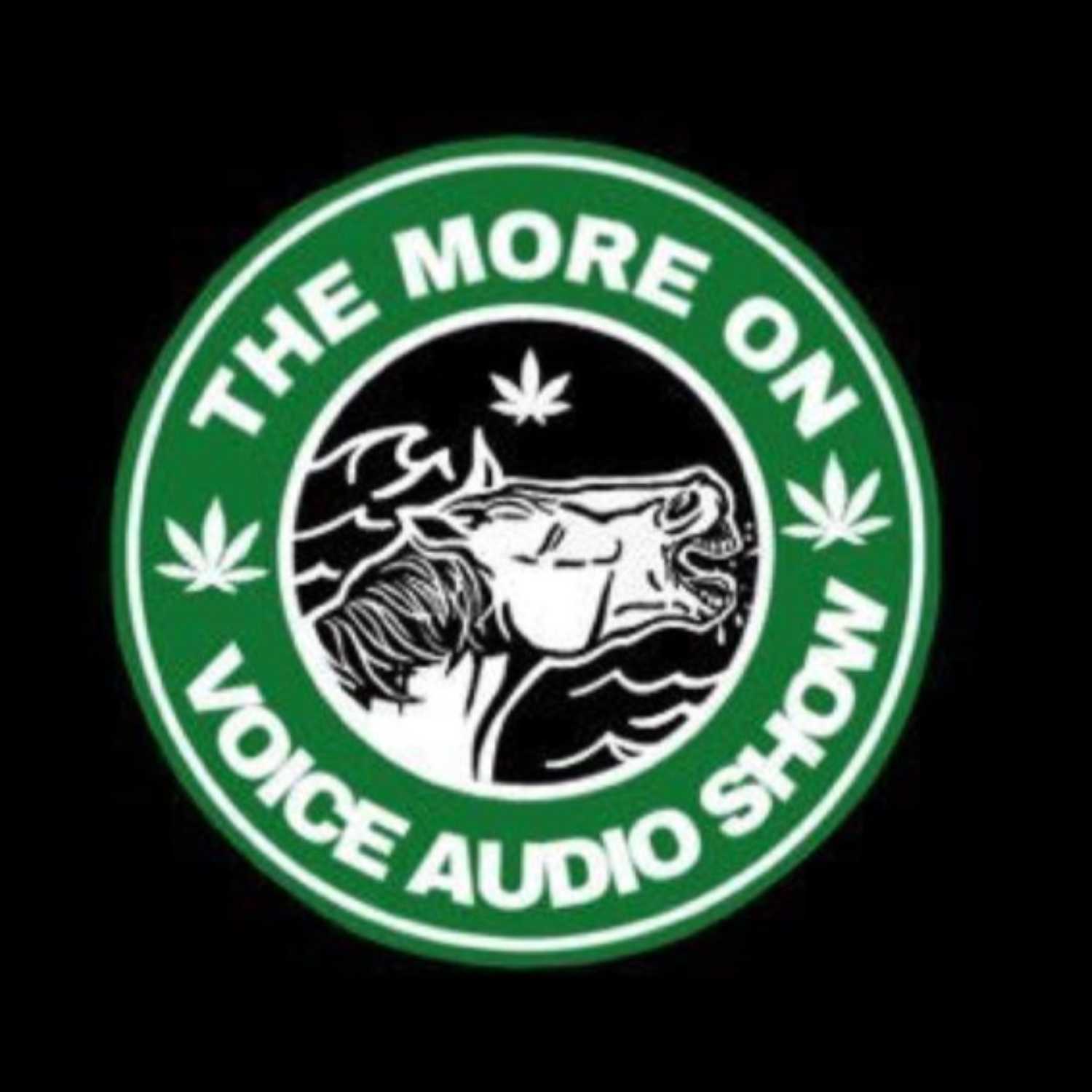 The More On Voice Audio Show: Episode 38 (Dan & Sturdy)