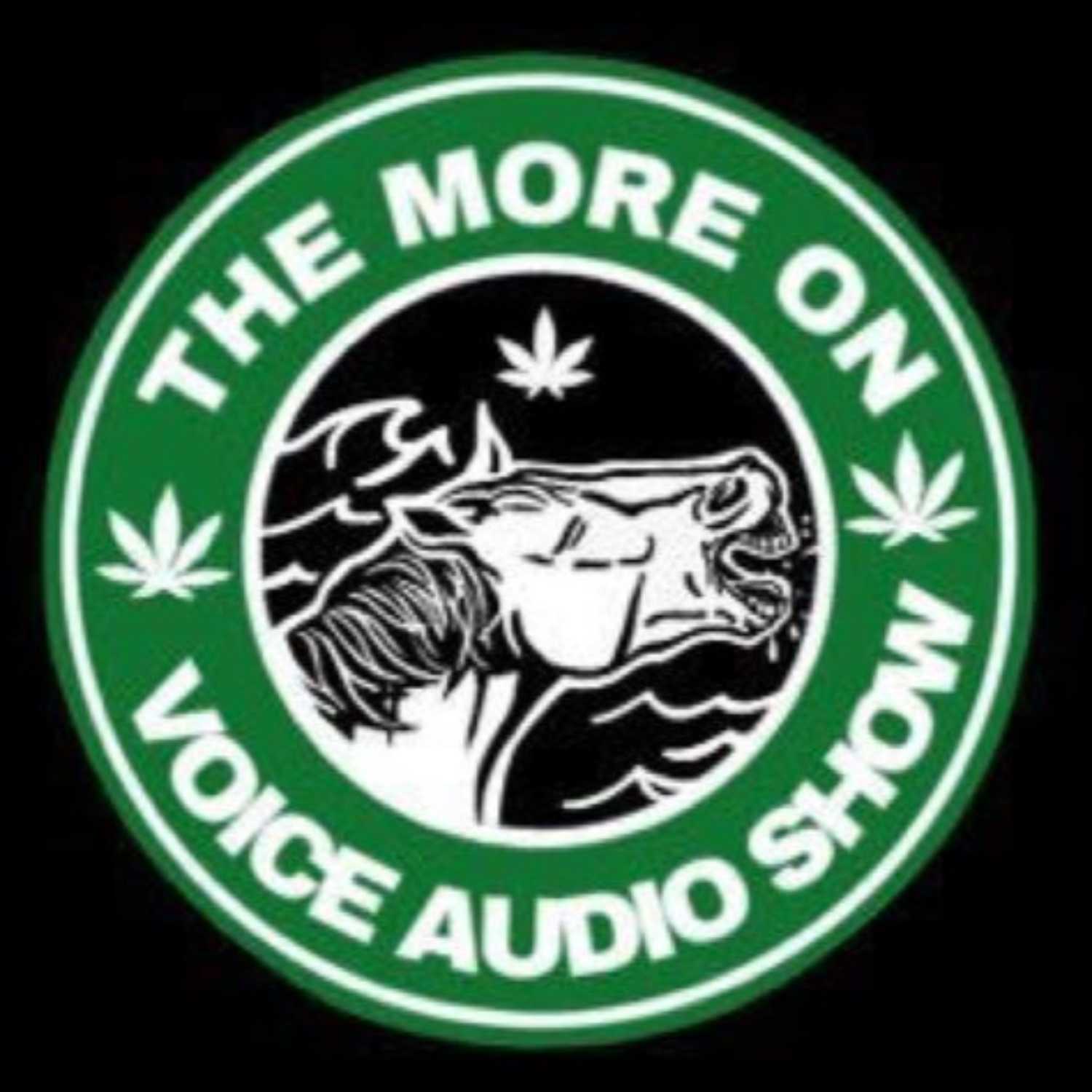 The More On Voice Audio Show: Episode 43 (One year anniversary special)