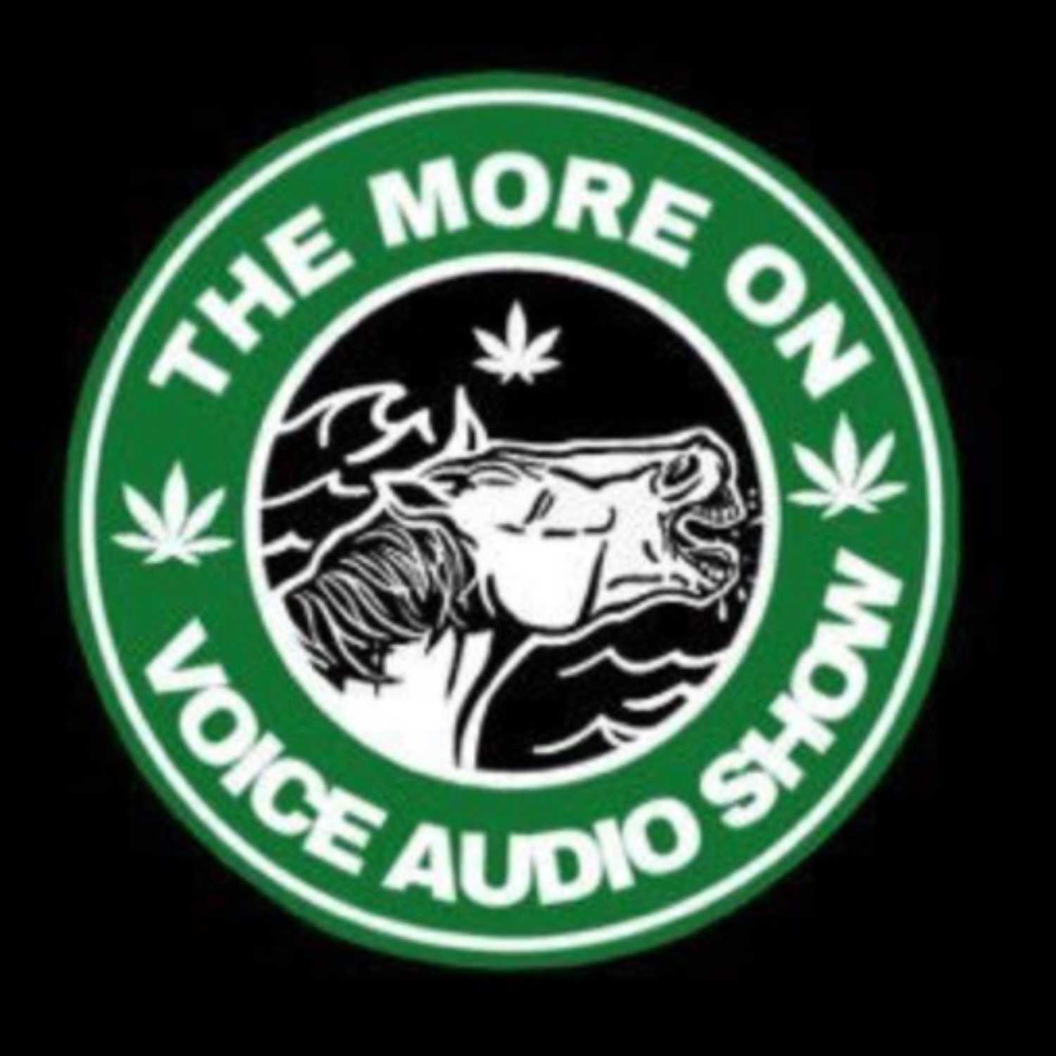 The More On Voice Audio Show :Episode 44 (Adam Legassie)