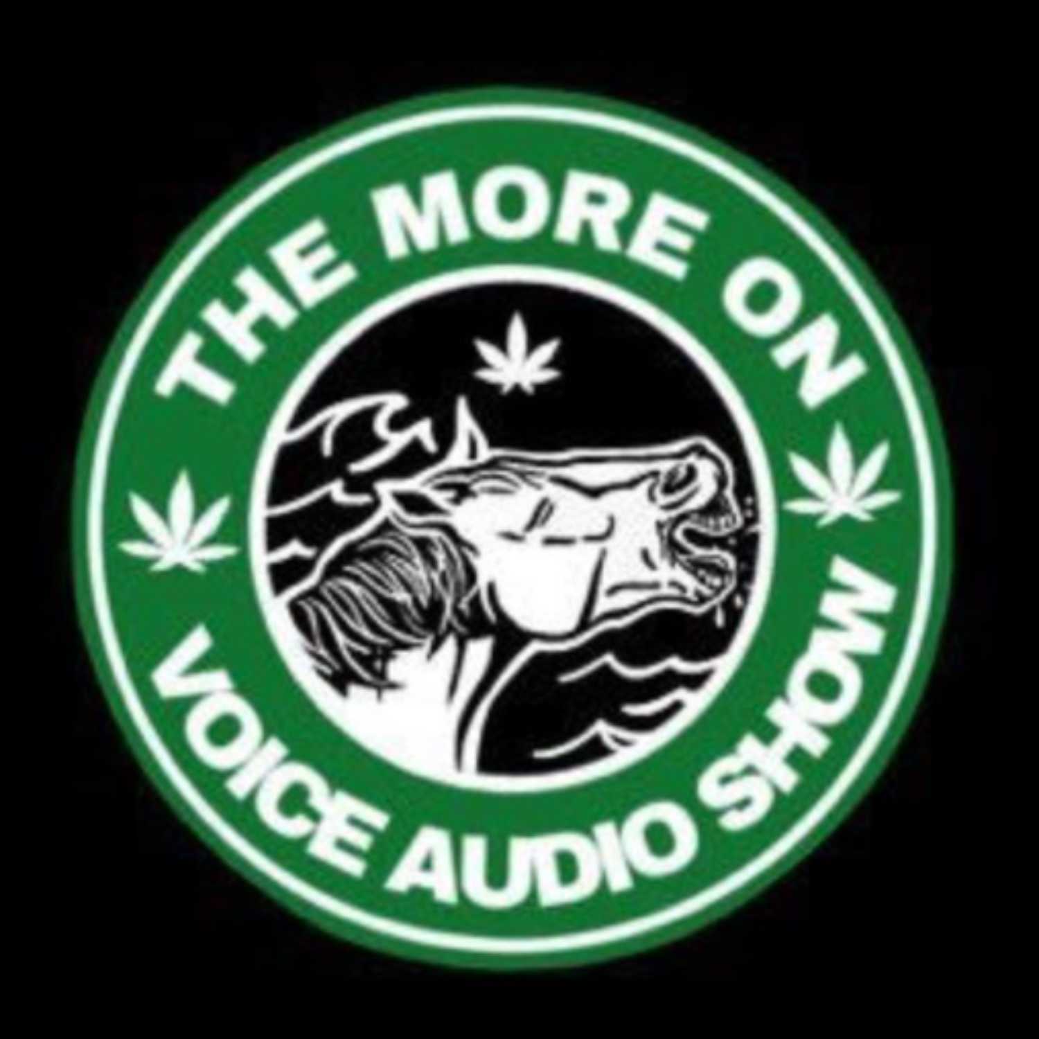 The More On Voice Audio Show: Episode 45 (Jalen Allison of Hard Headed University)