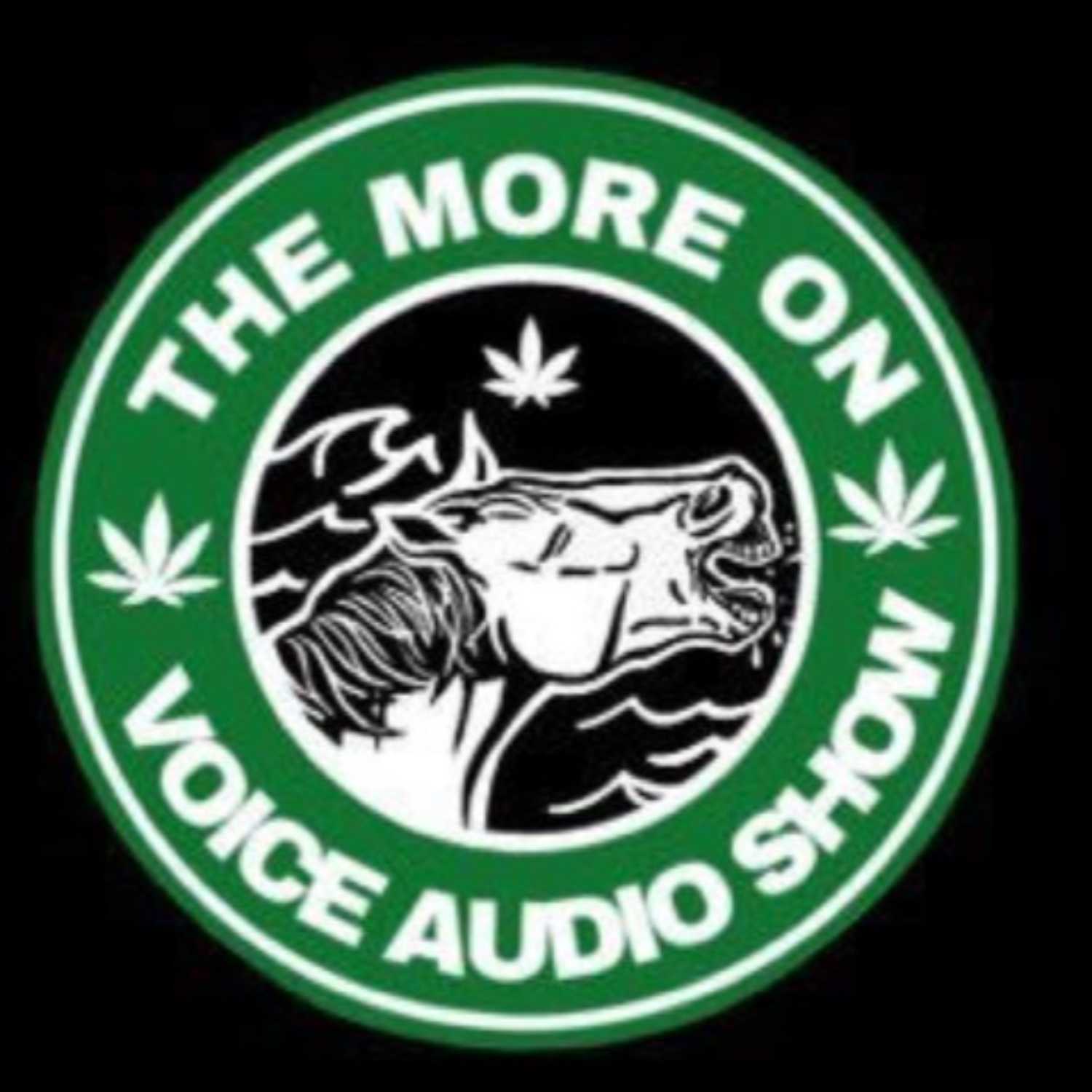 The More on Voice Audio Show: Episode 53