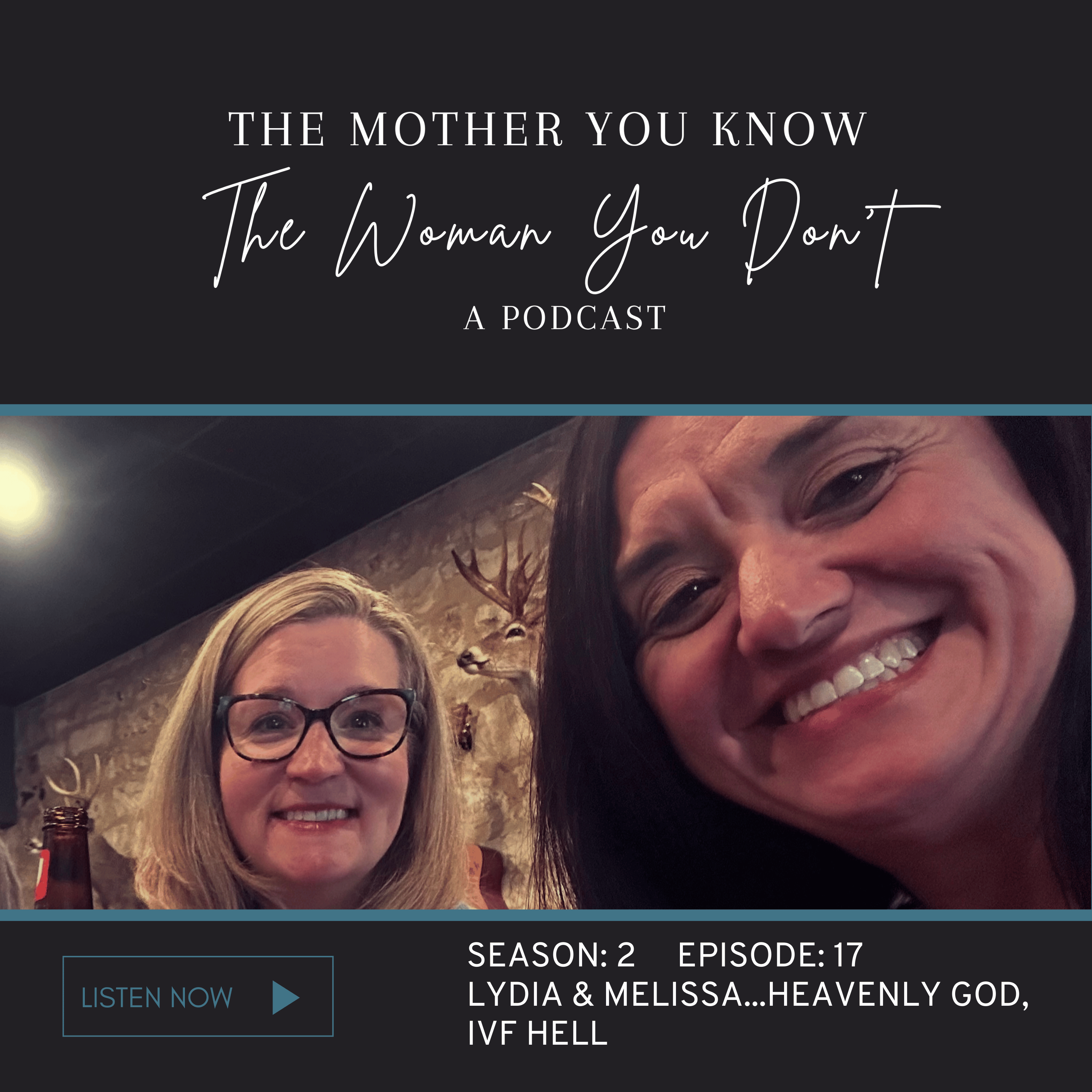 The Mother You Know. The Woman You Don\'t.