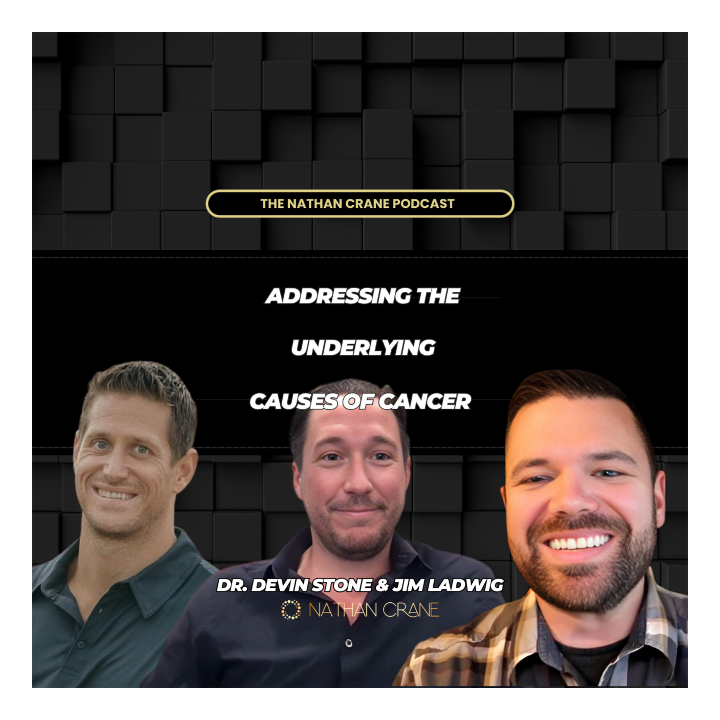 Addressing the Underlying Causes of Cancer: Dr. Devin Stone and Jim Ladwig | Nathan Crane Podcast