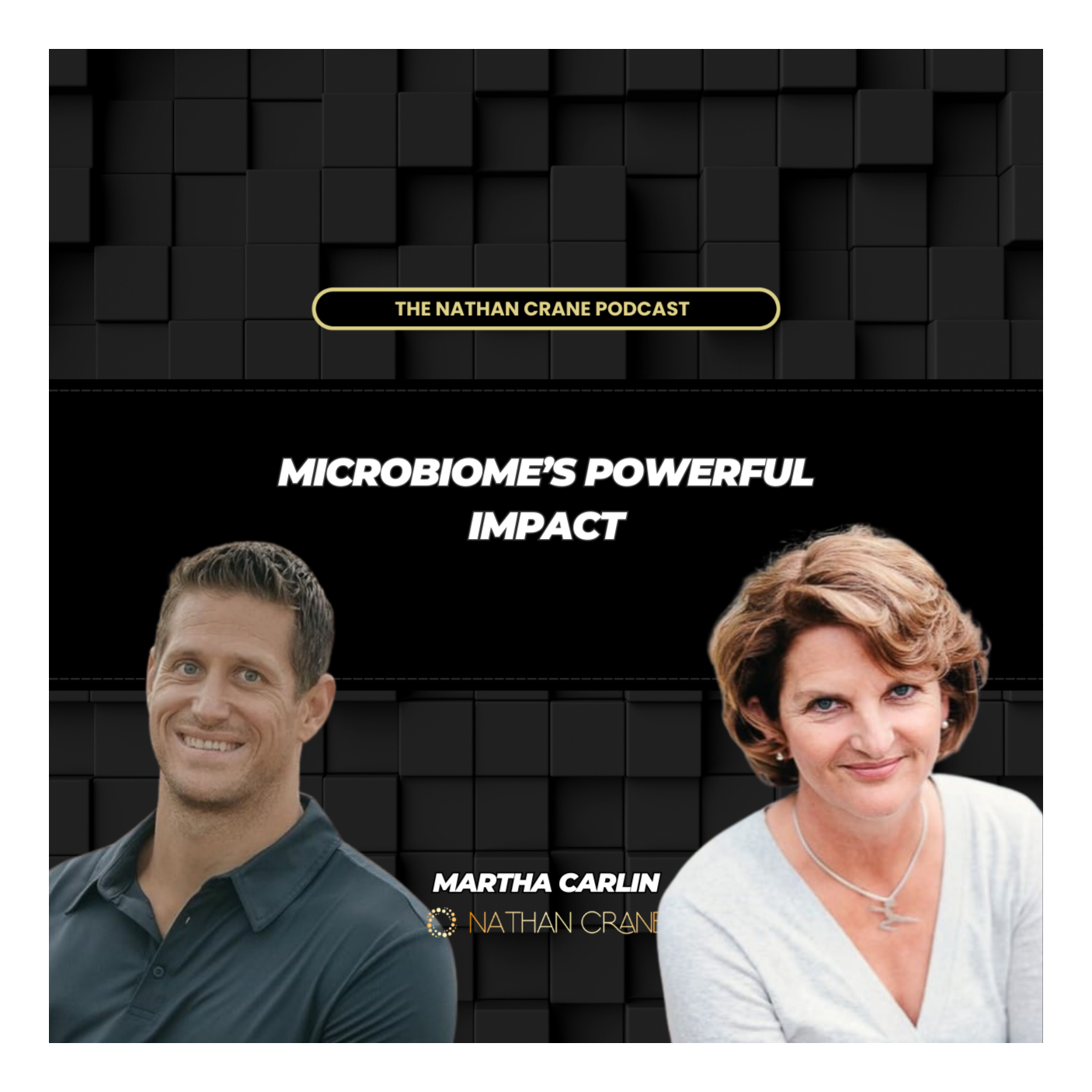 The Hidden Link: Gut, Microbiome, and Parkinson's Disease; Martha Carlin | Nathan Crane Podcast