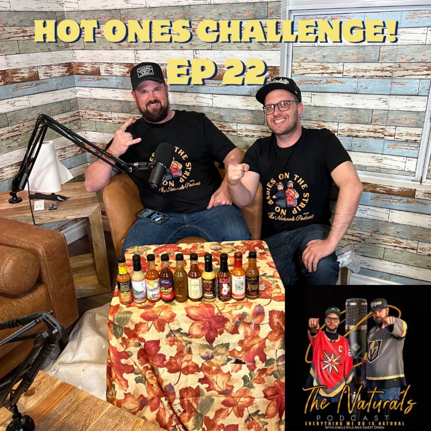 The Naturals Podcast
