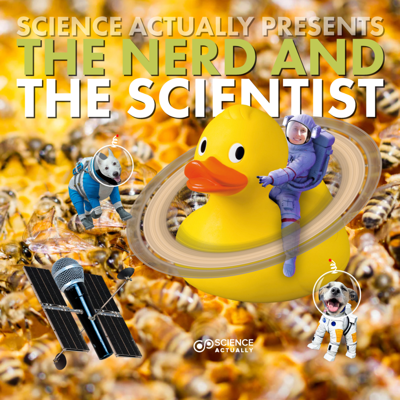 Genetics of Giddiness : Guest : Sarah Aamidor