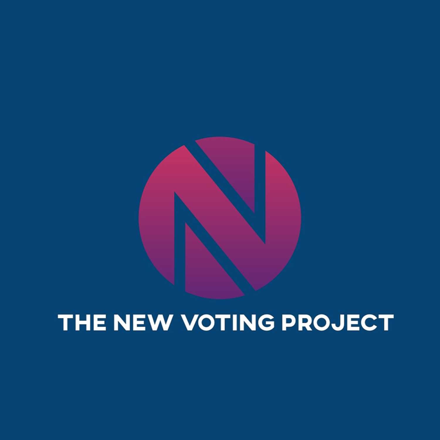 The New Voting Project