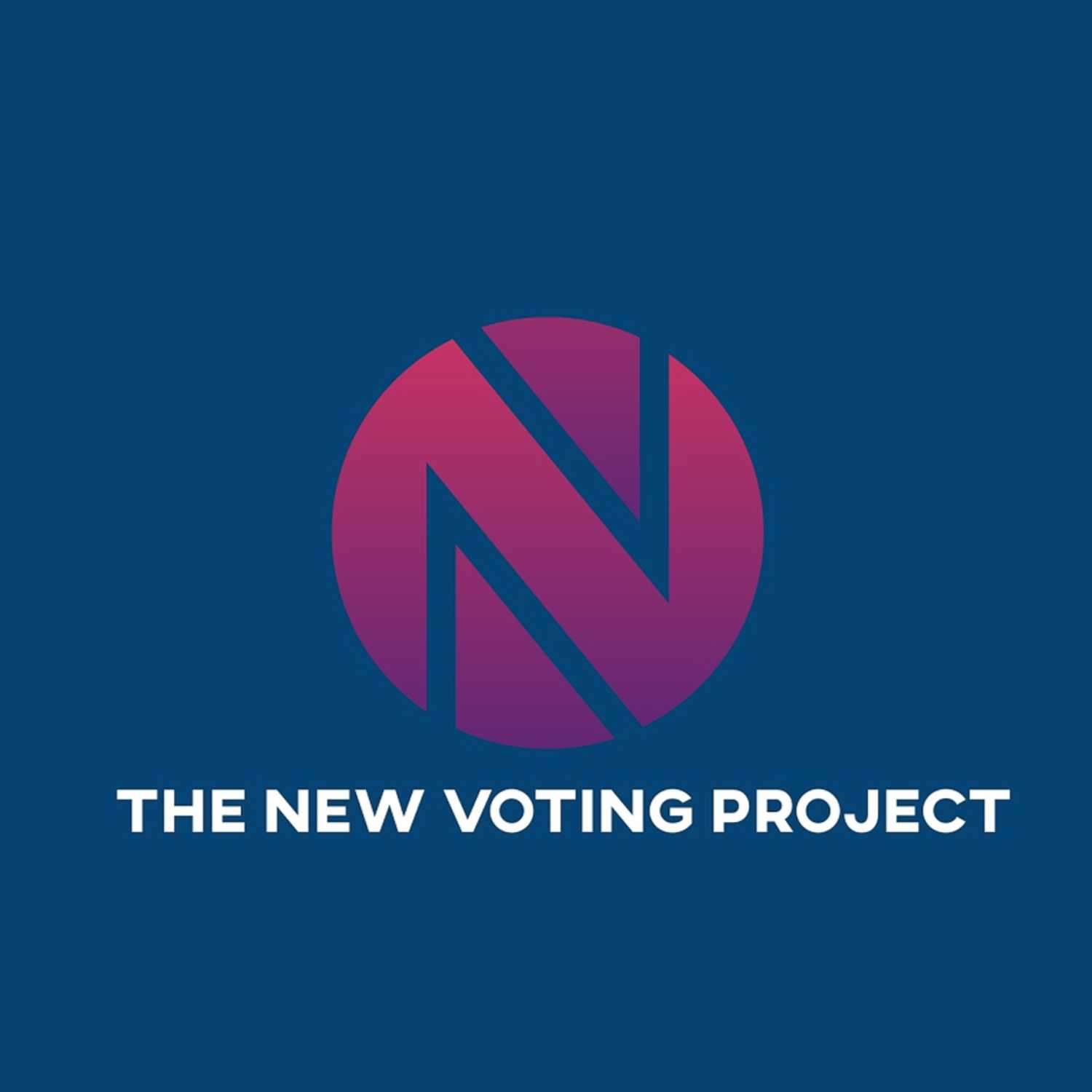 The New Voting Project
