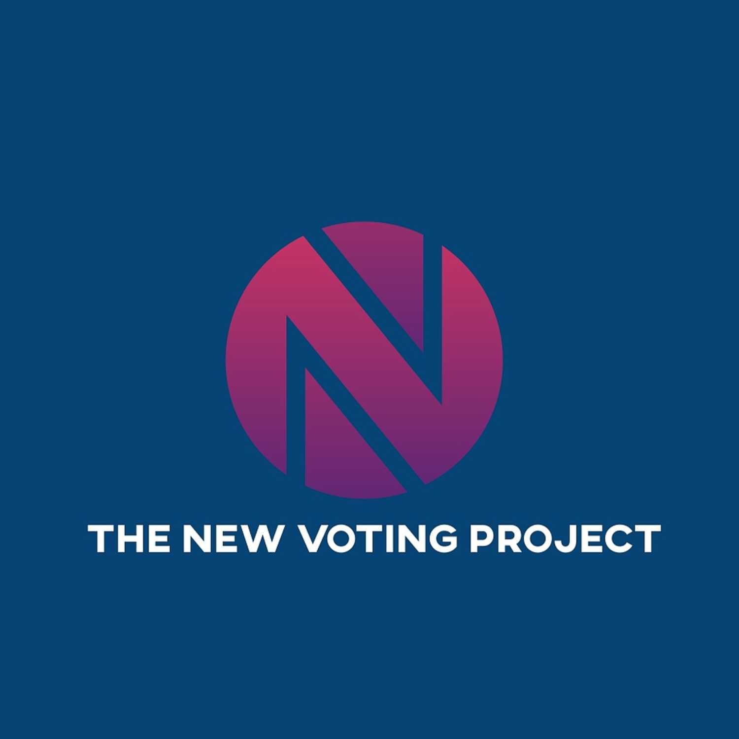 The New Voting Project