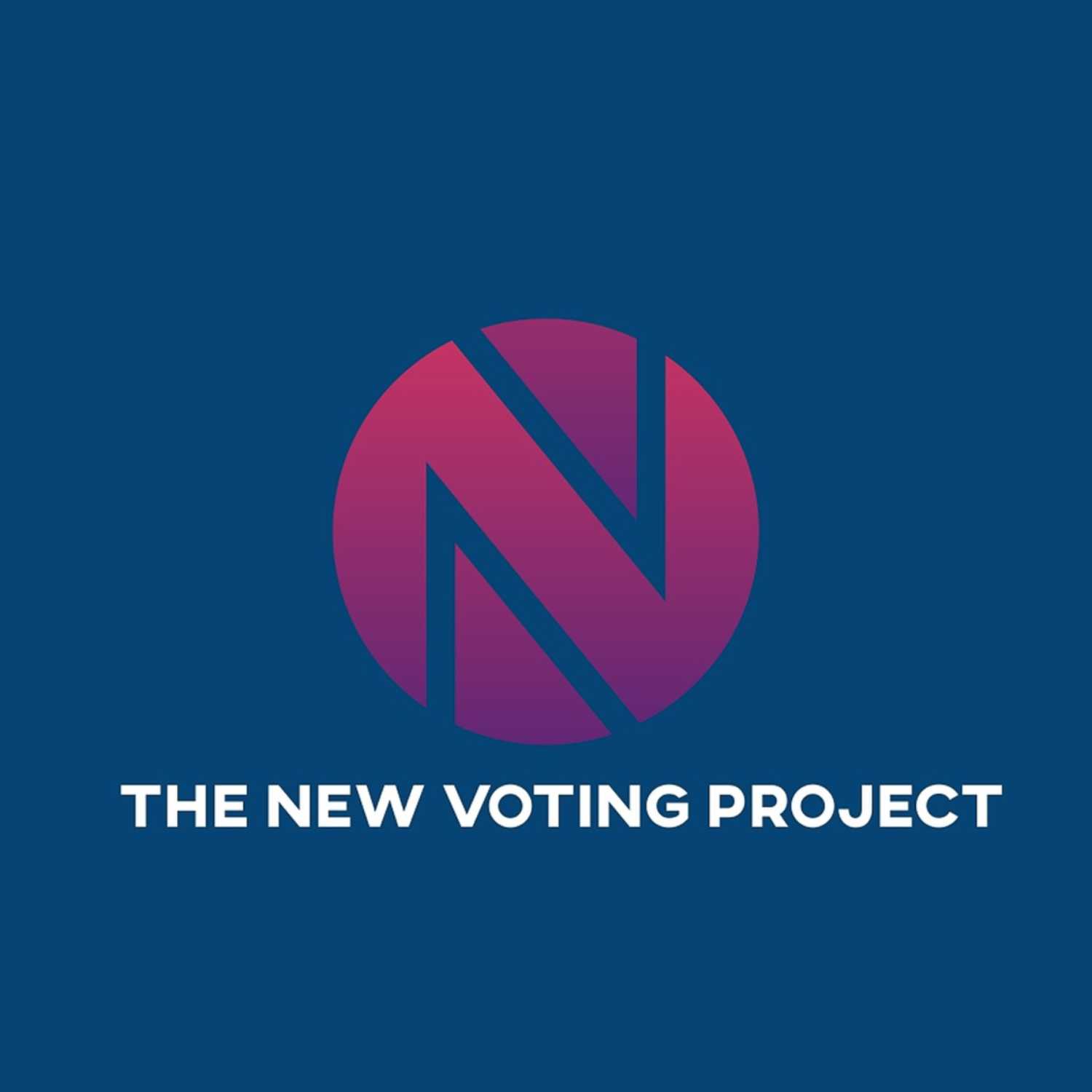 The New Voting Project