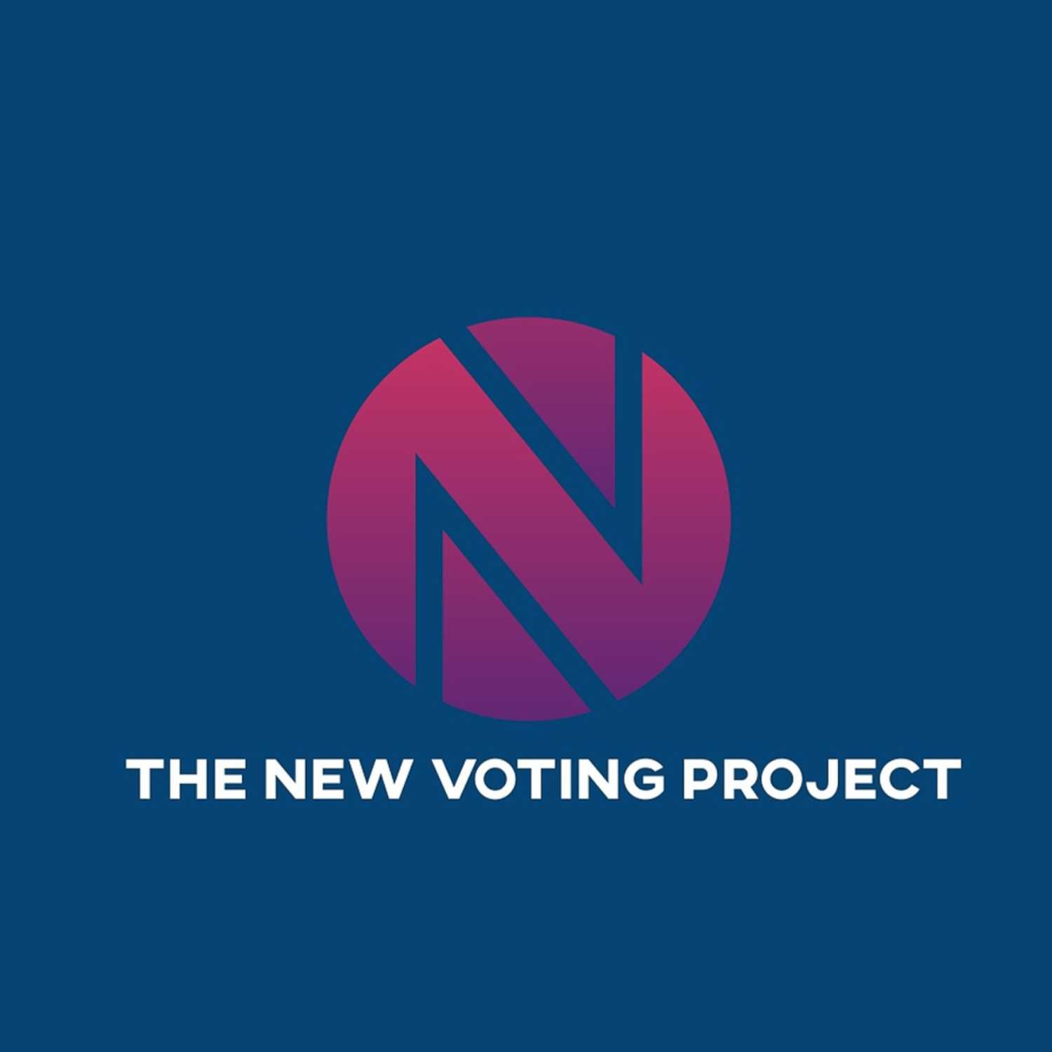 The New Voting Project
