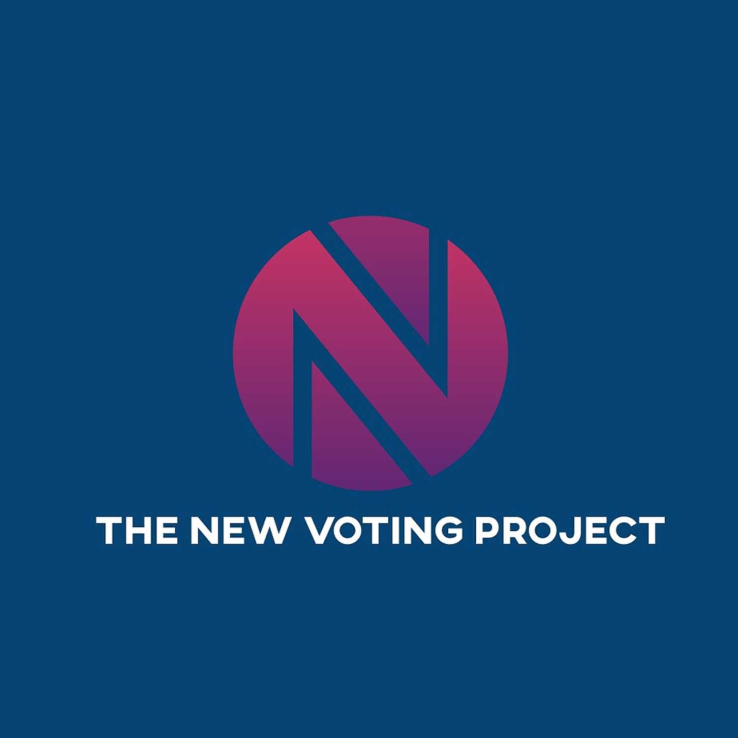 The New Voting Project