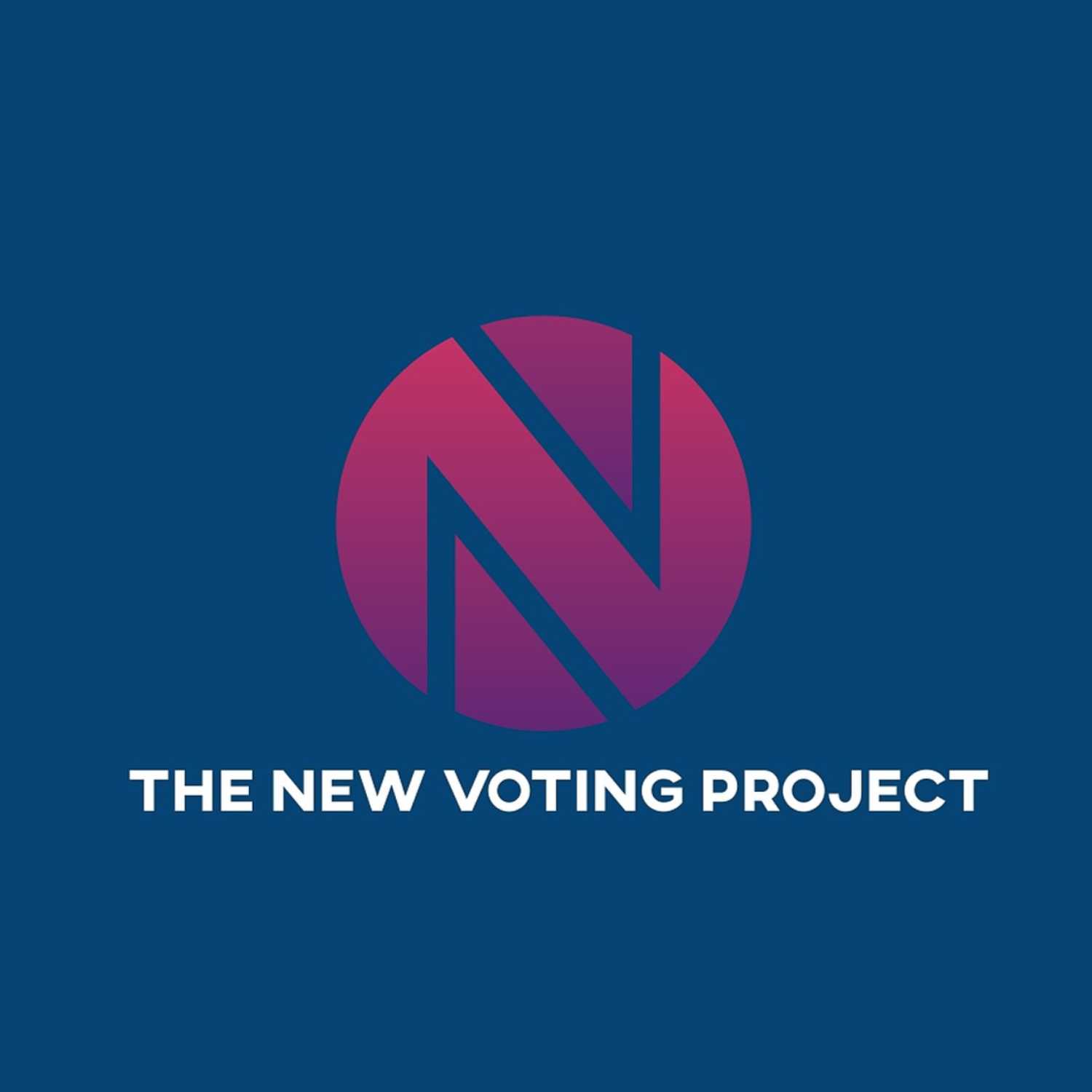 The New Voting Project