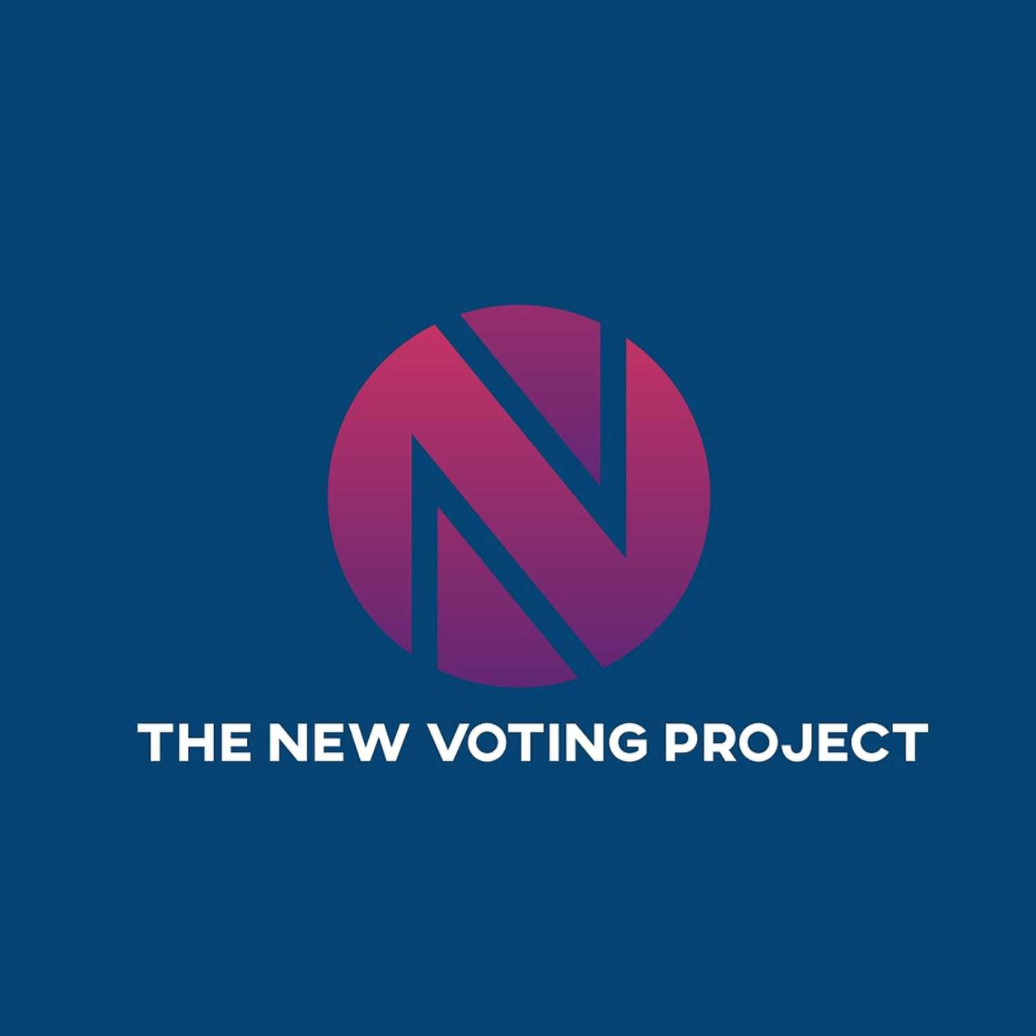 The New Voting Project
