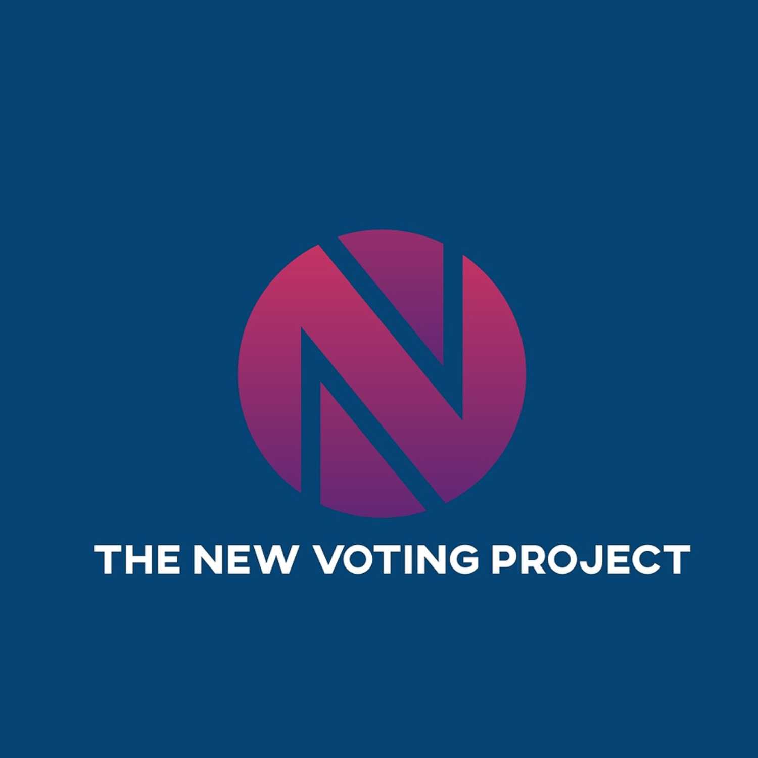 The New Voting Project