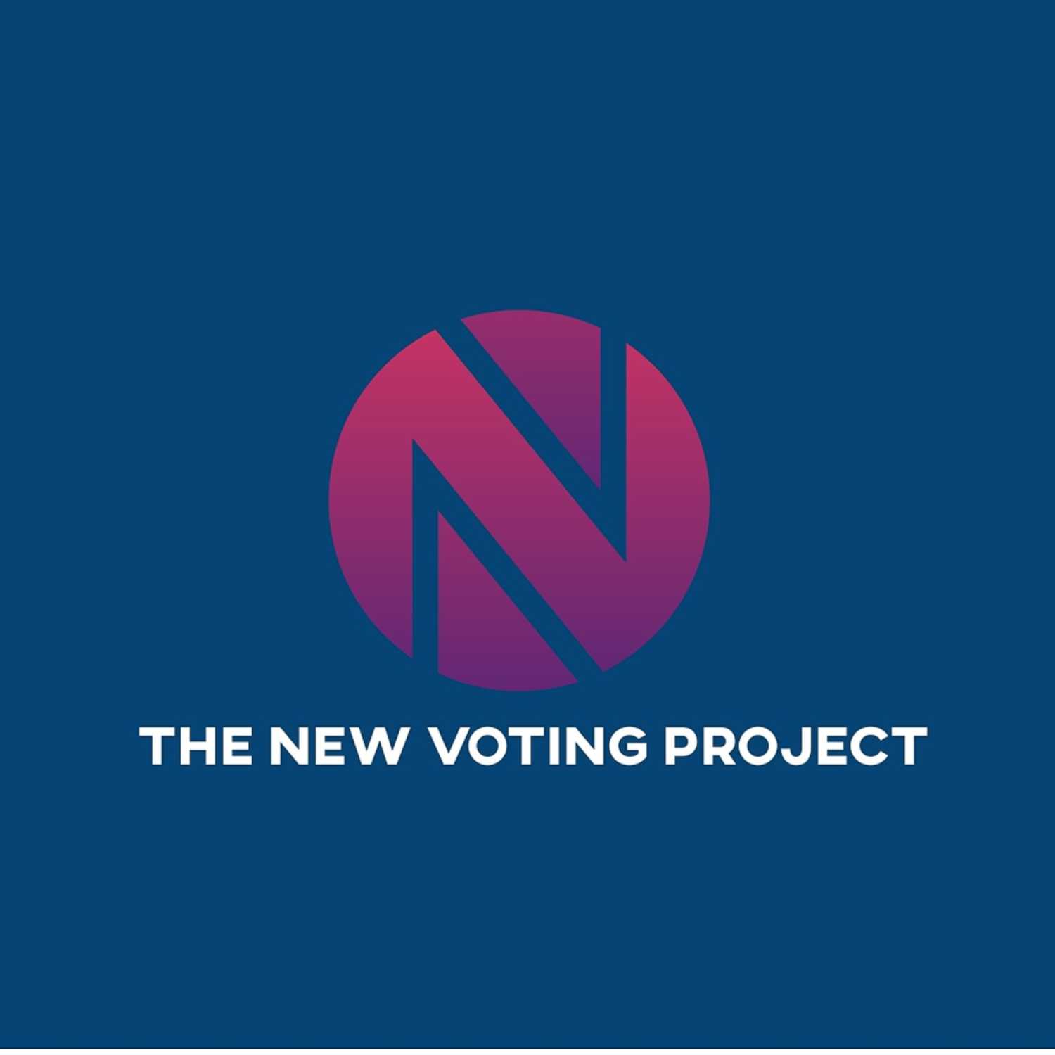 The New Voting Project