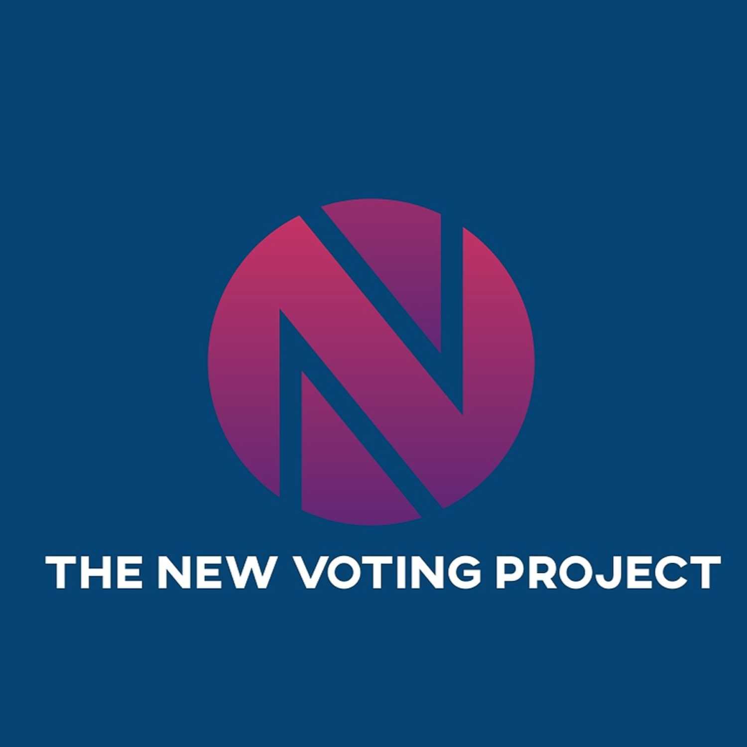The New Voting Project