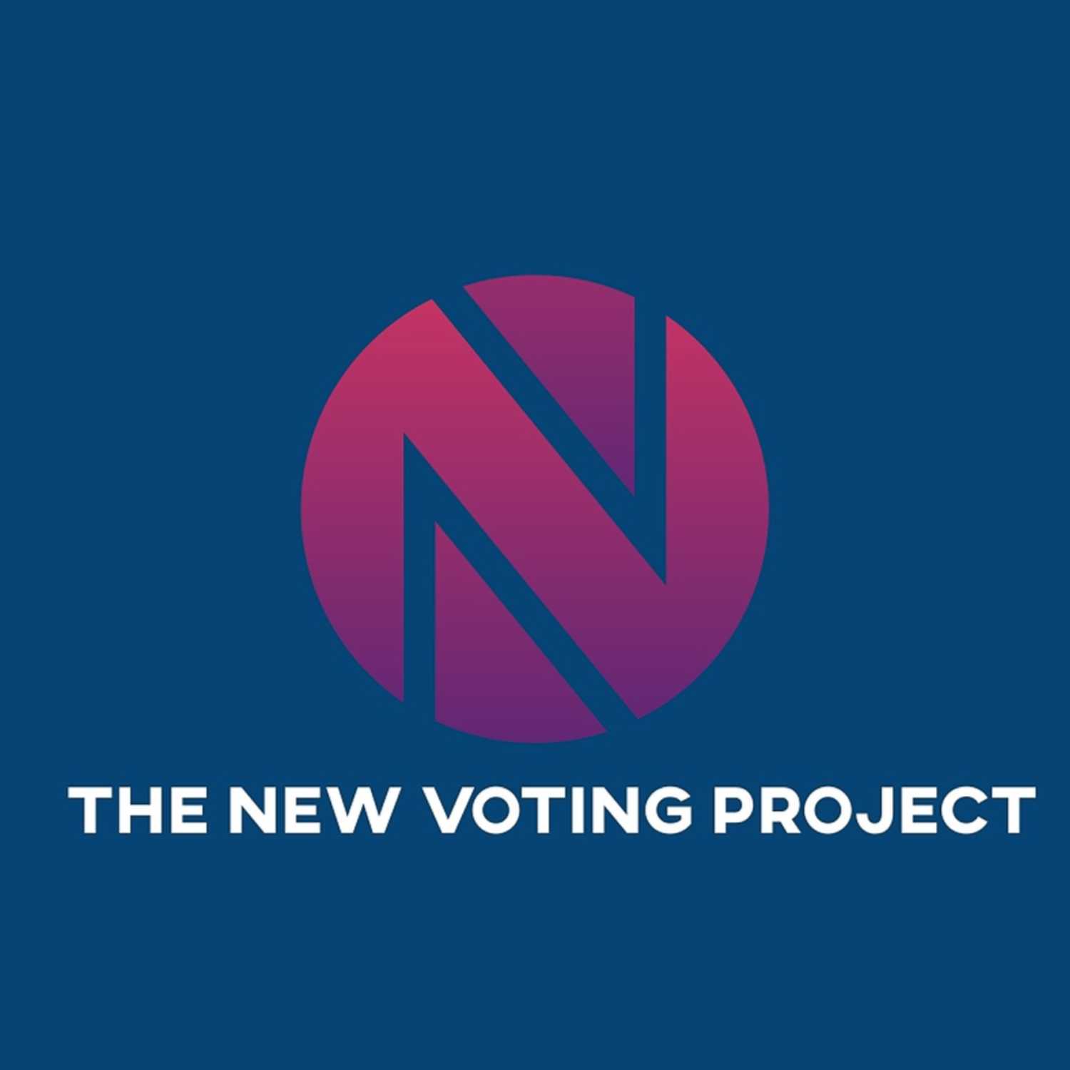 The New Voting Project