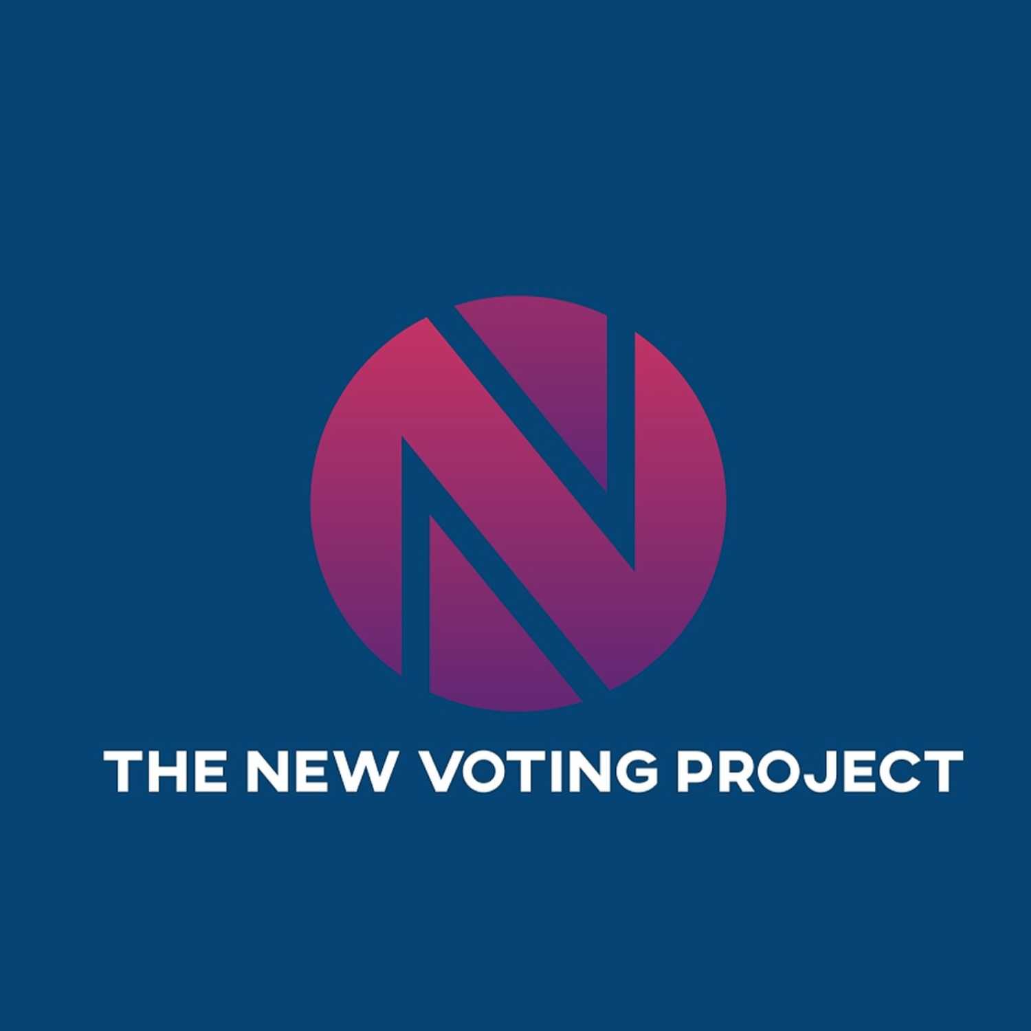 The New Voting Project