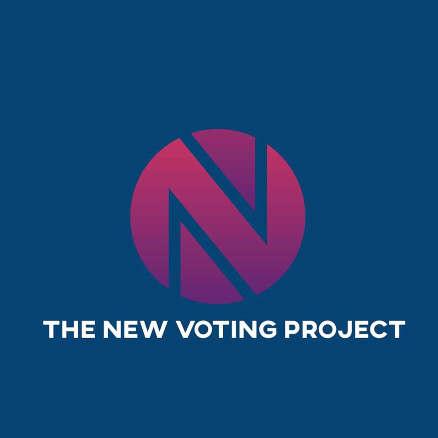 The New Voting Project