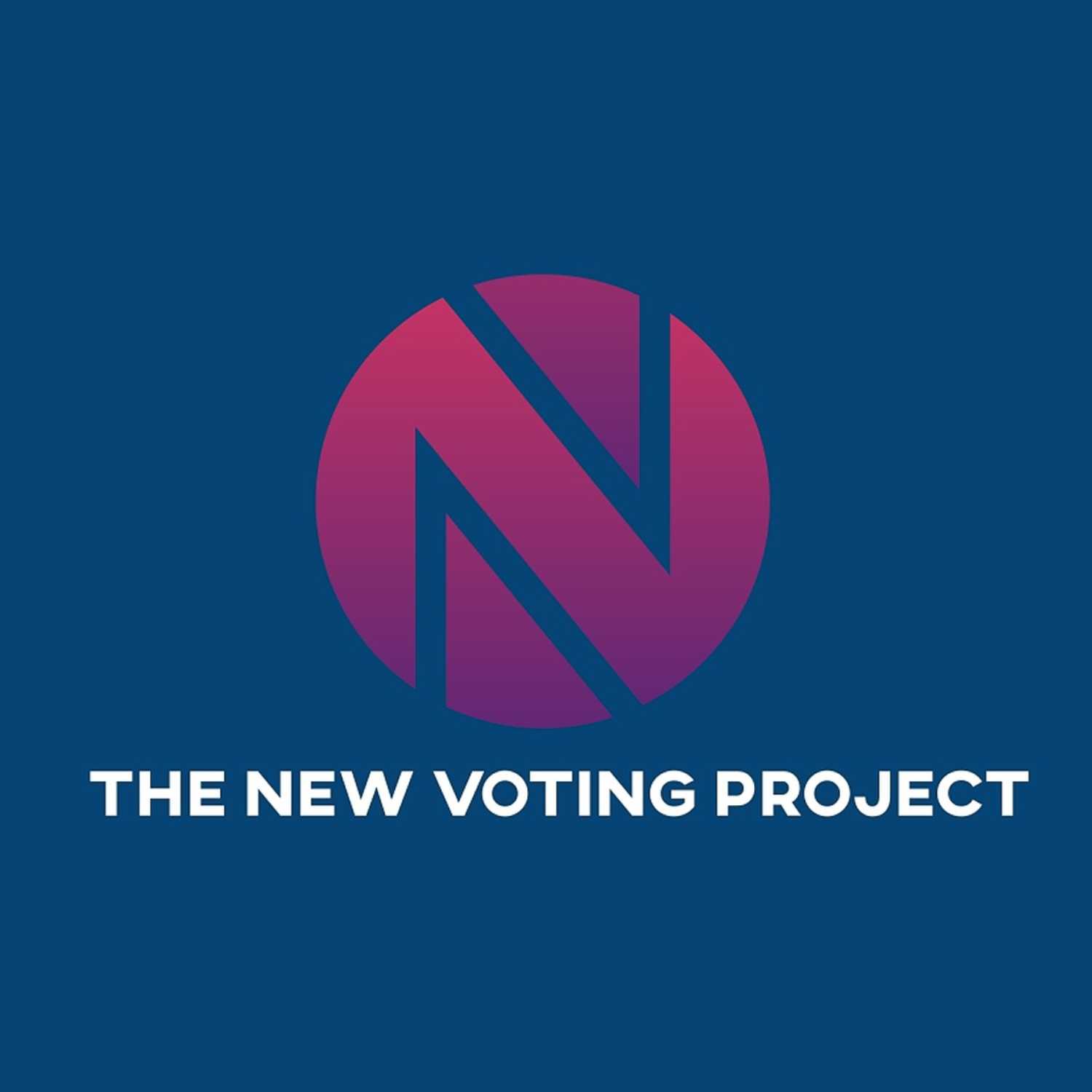 The New Voting Project