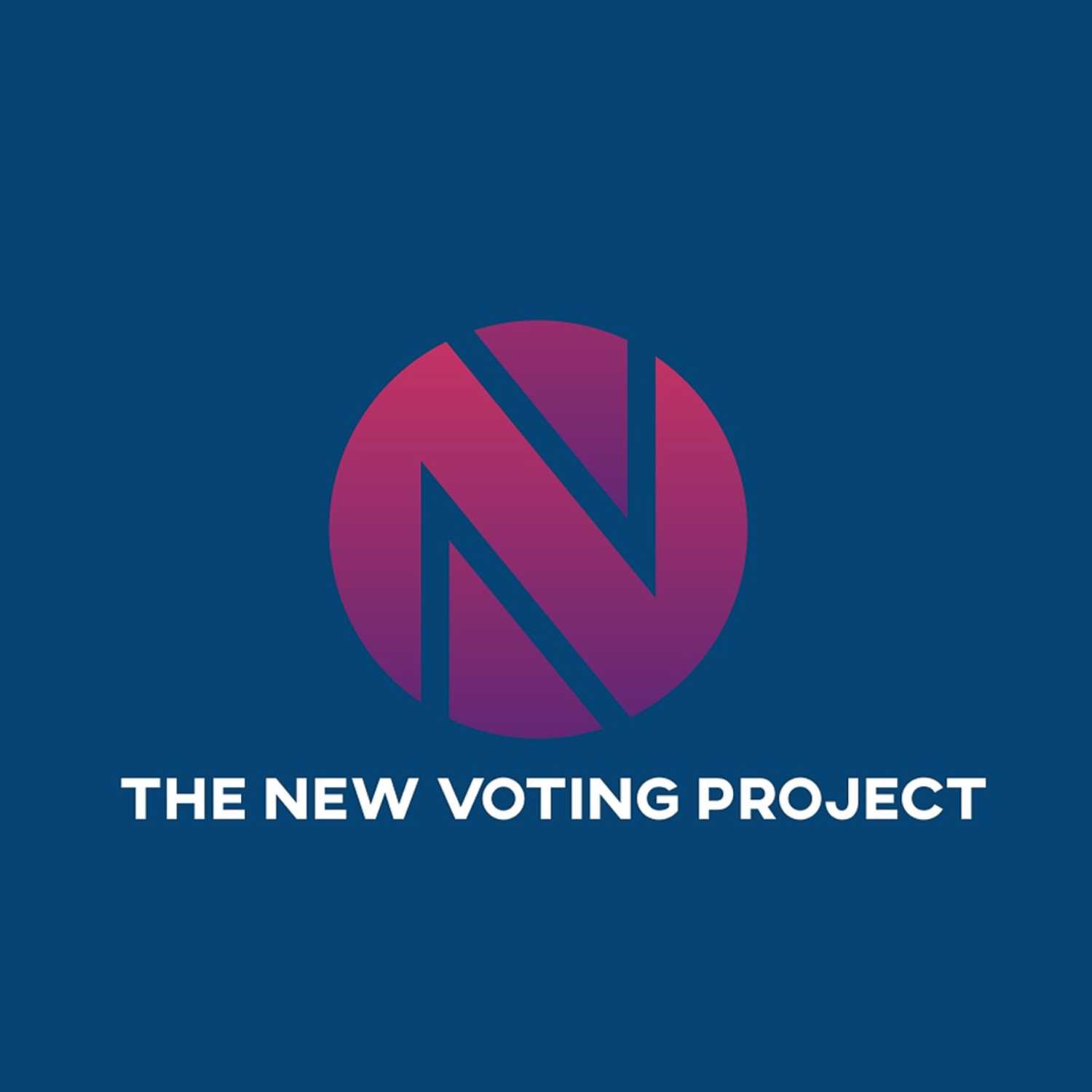 The New Voting Project