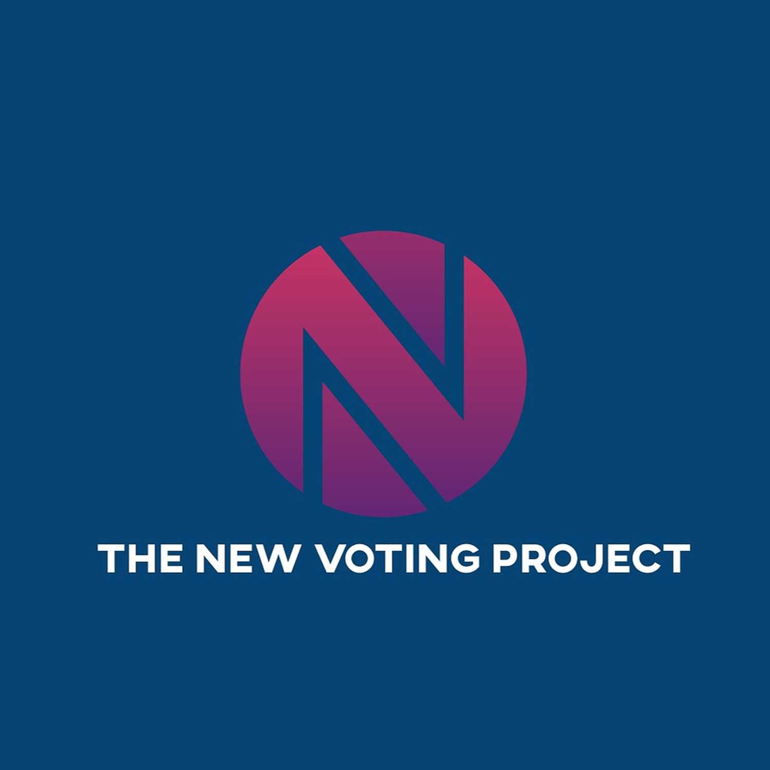 The New Voting Project