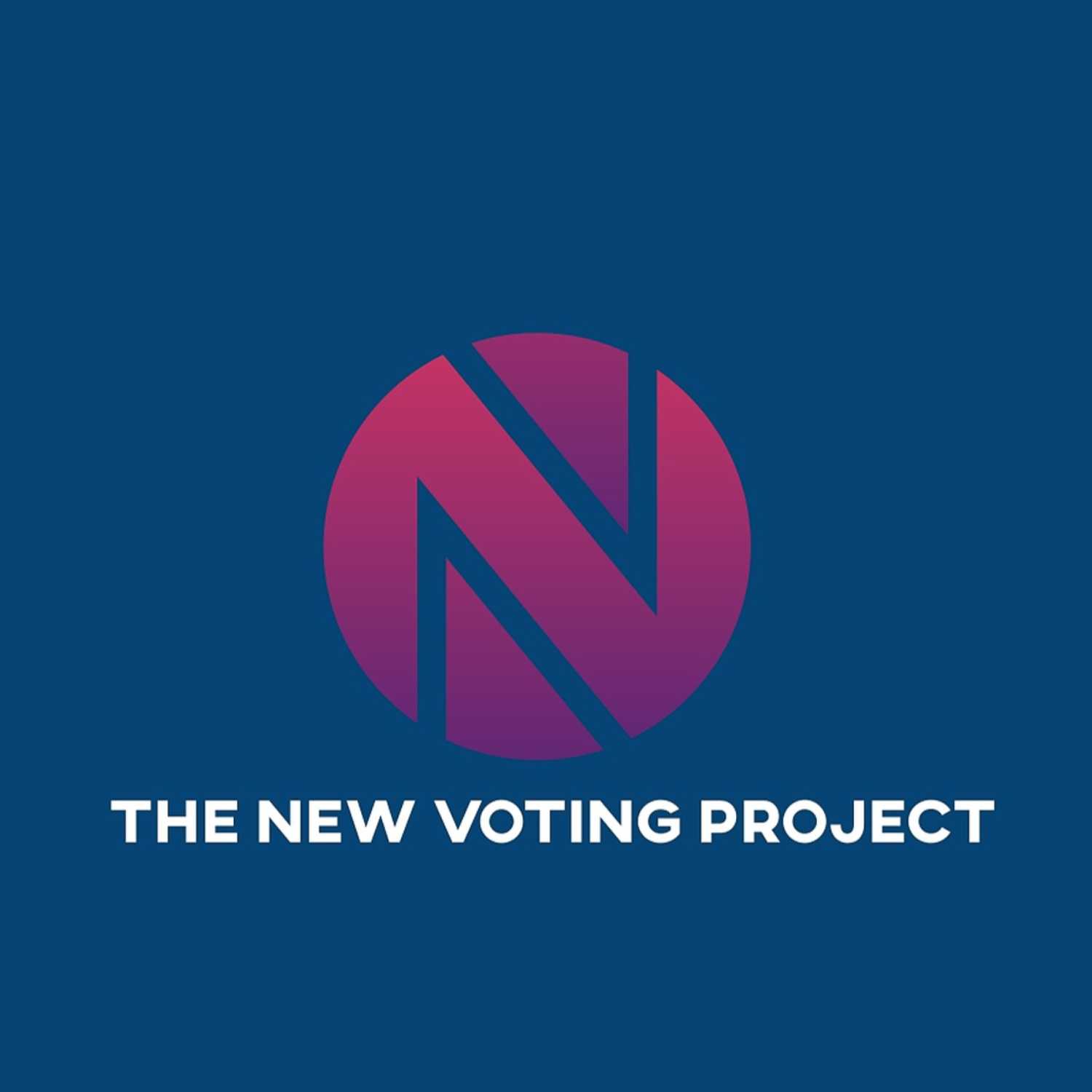 The New Voting Project