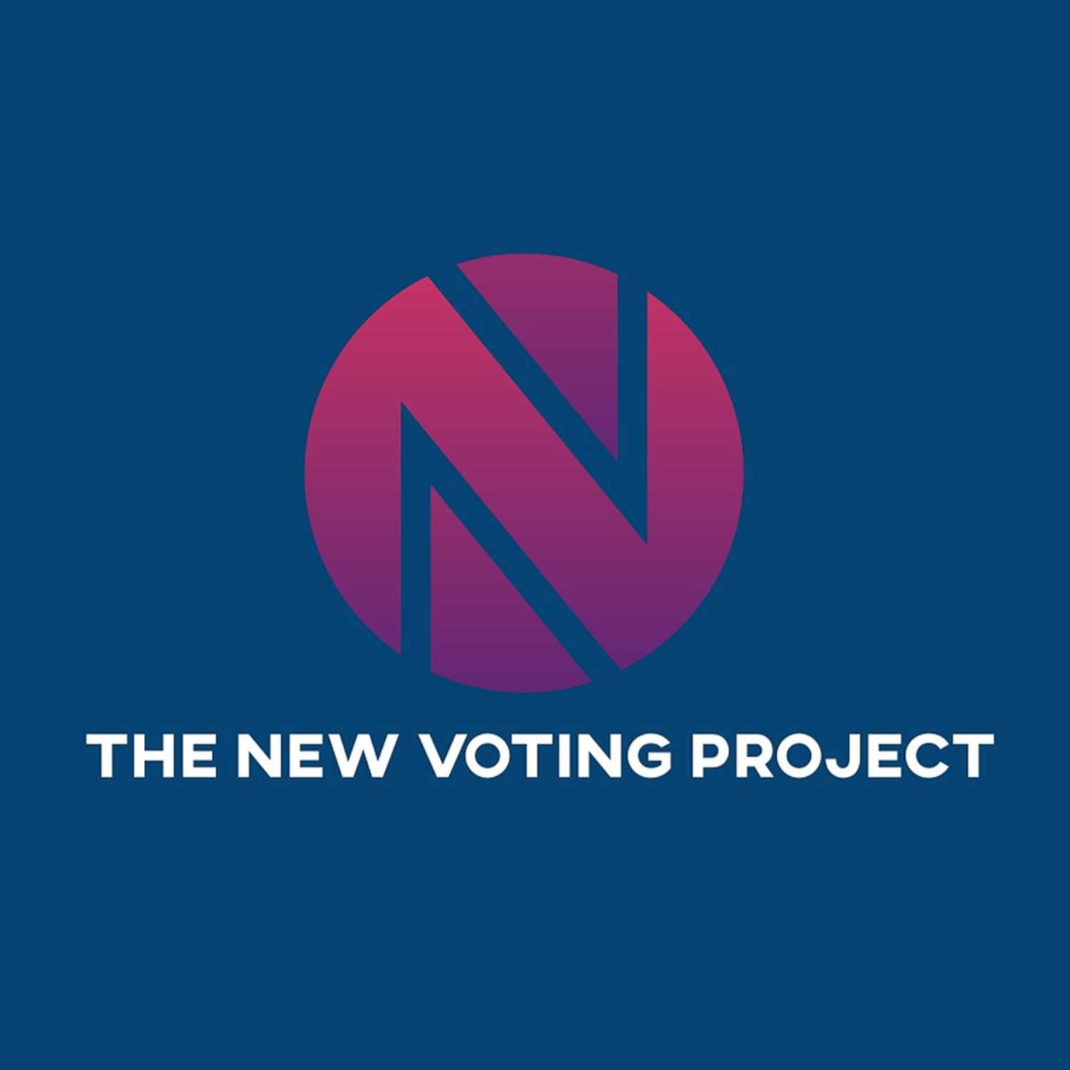 The New Voting Project