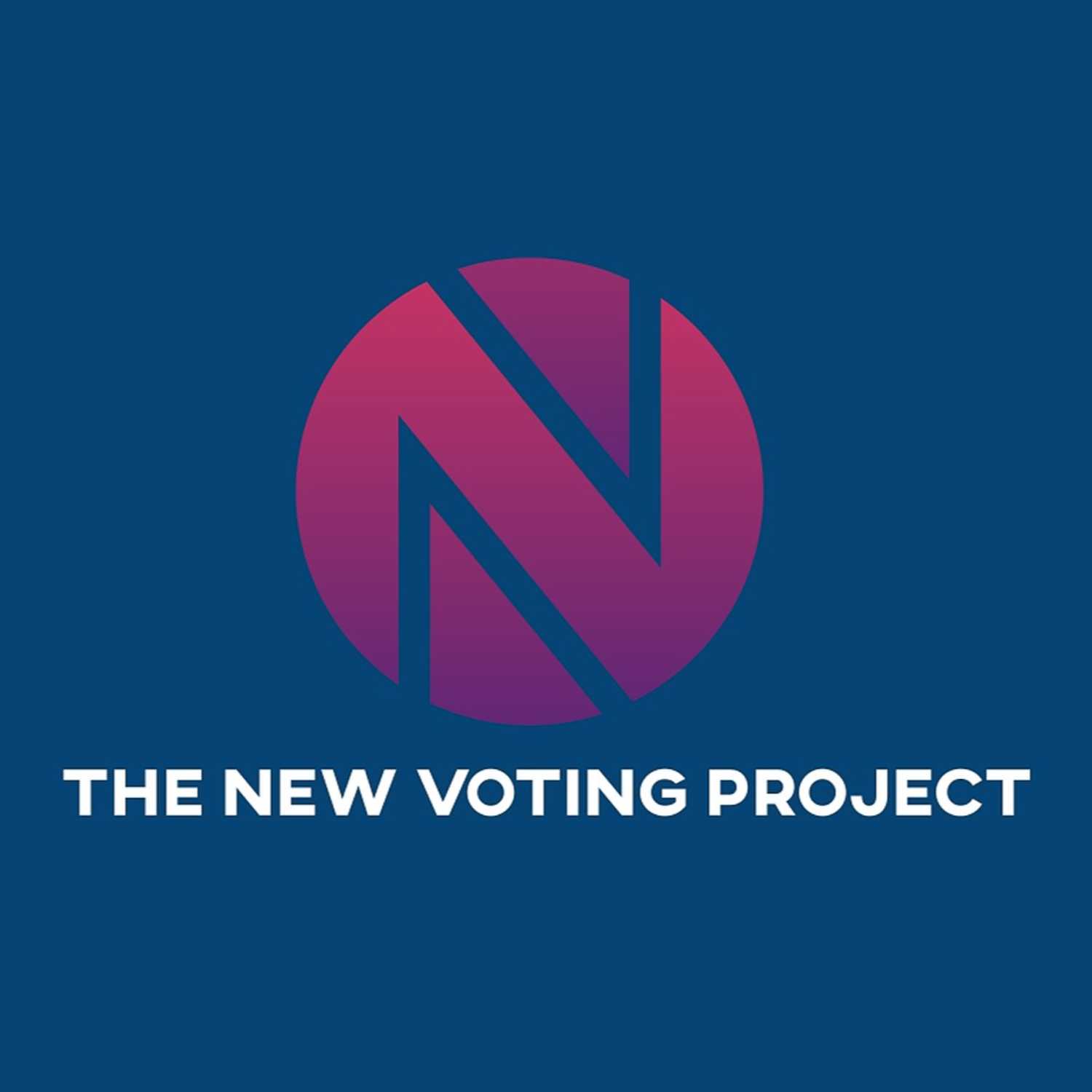 The New Voting Project