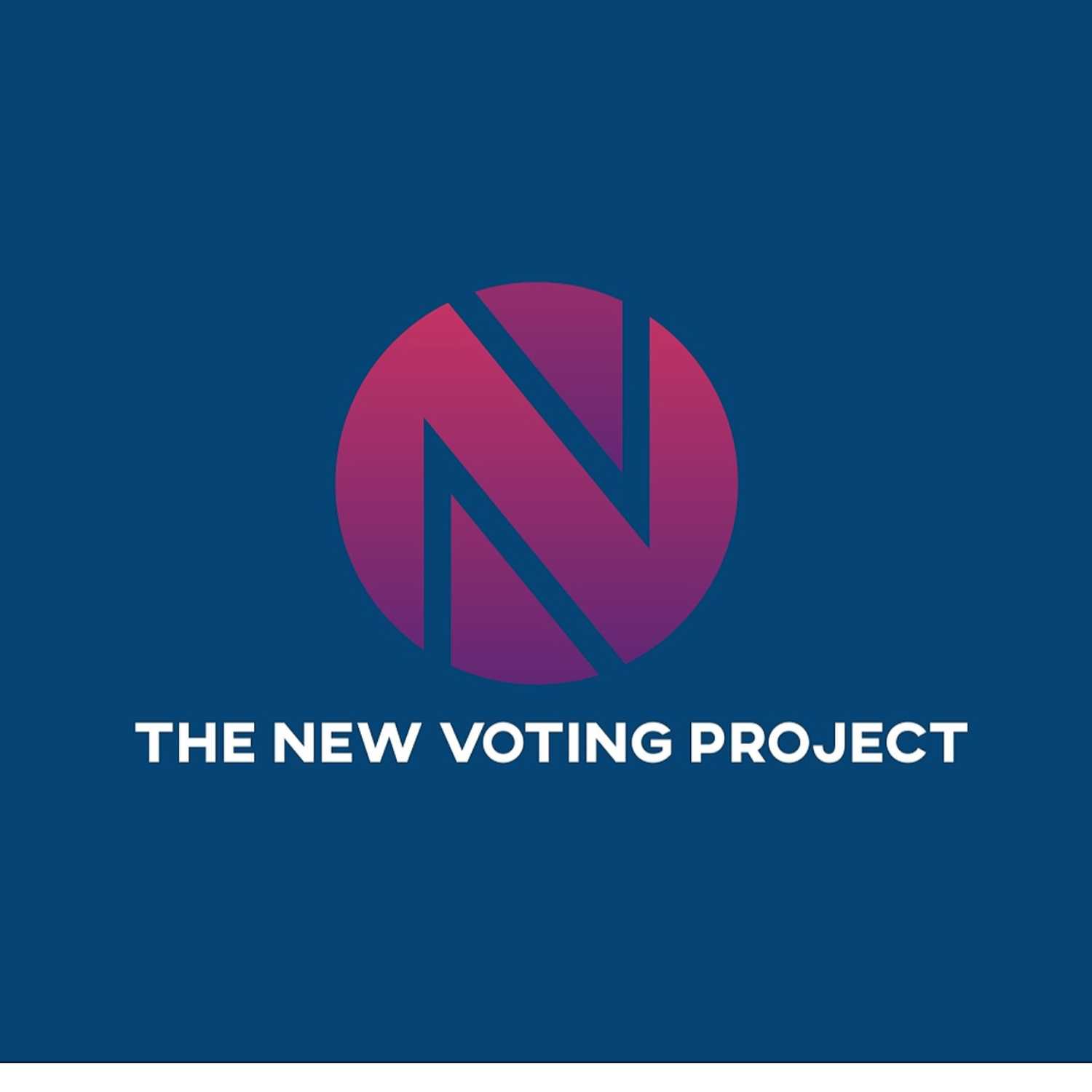 The New Voting Project