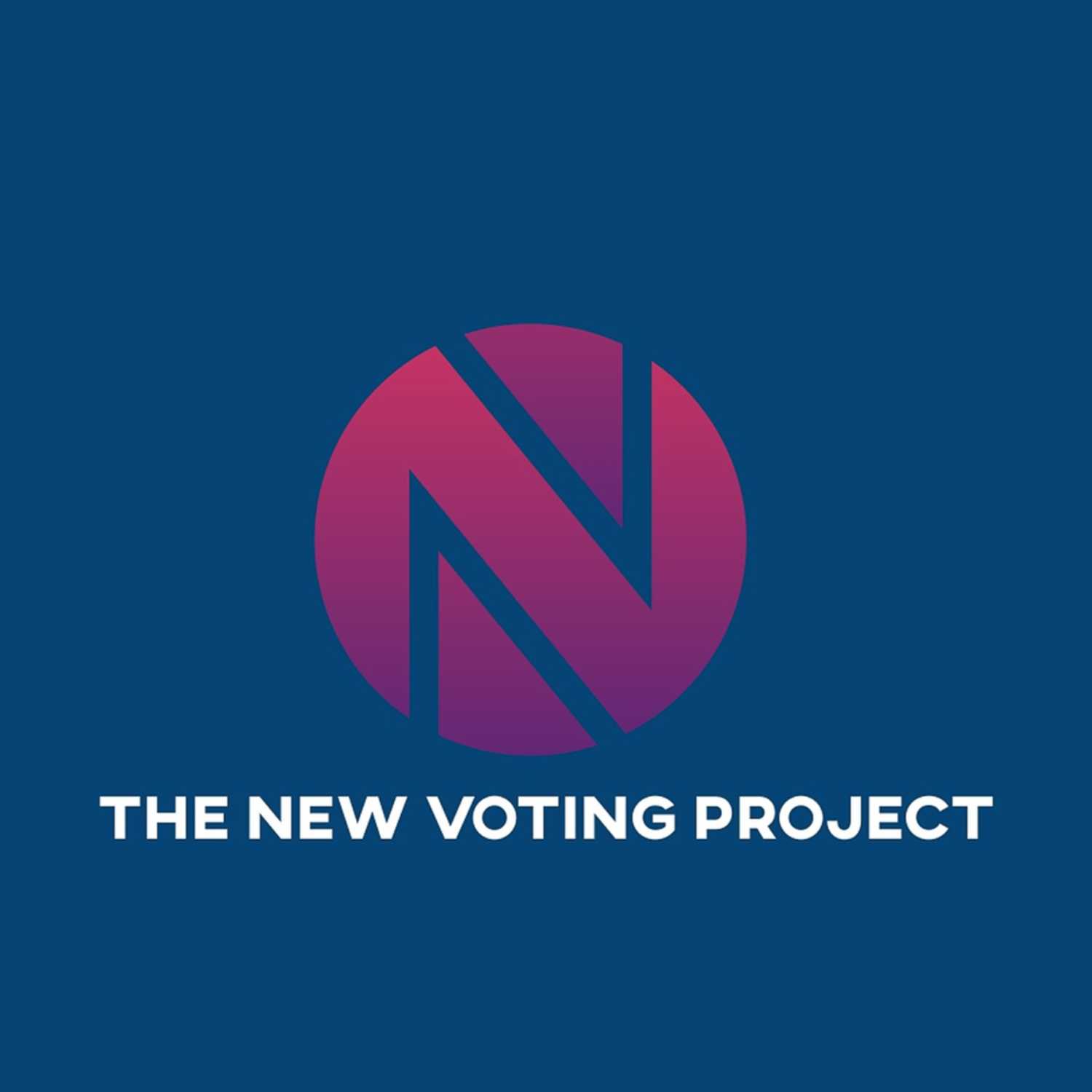 The New Voting Project