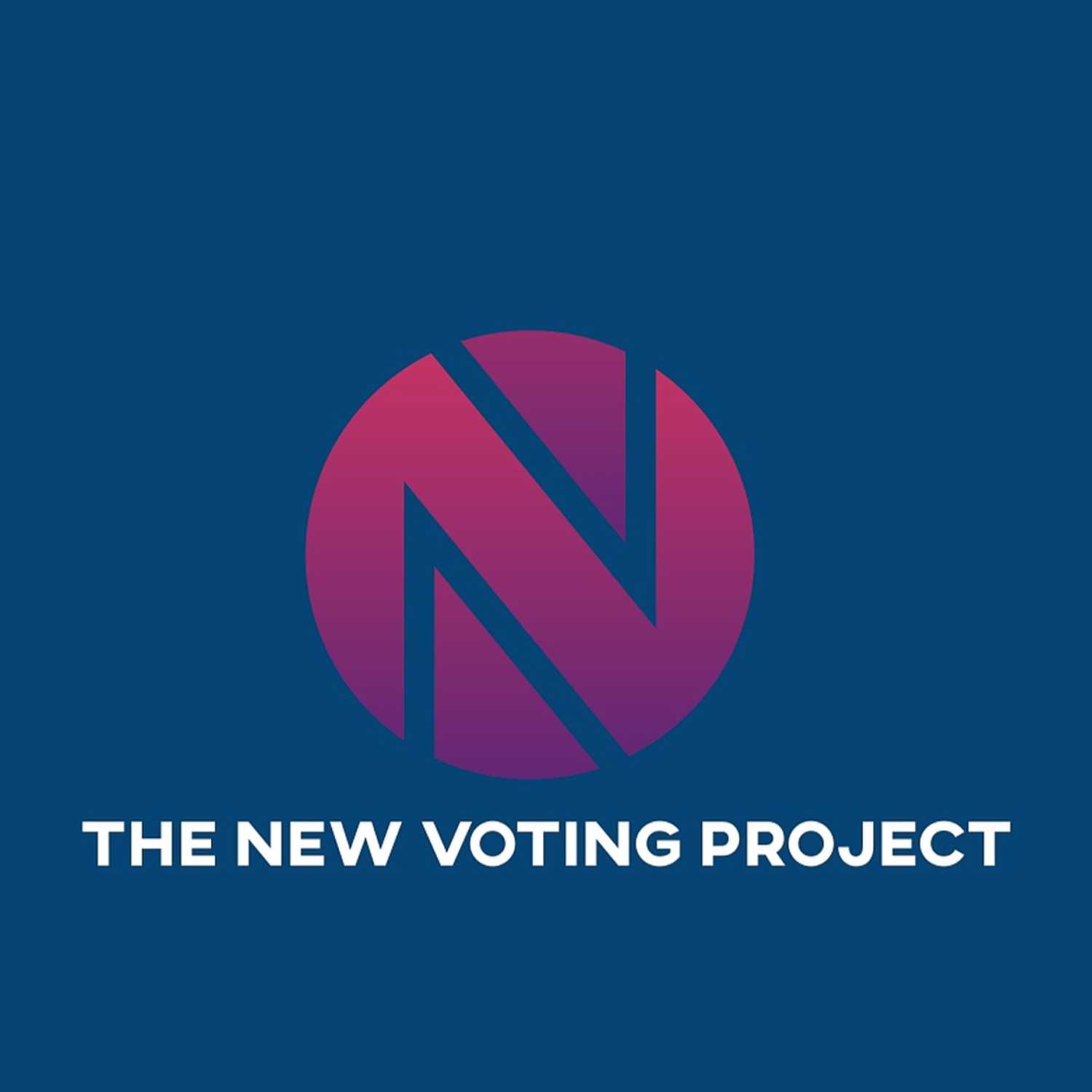 The New Voting Project