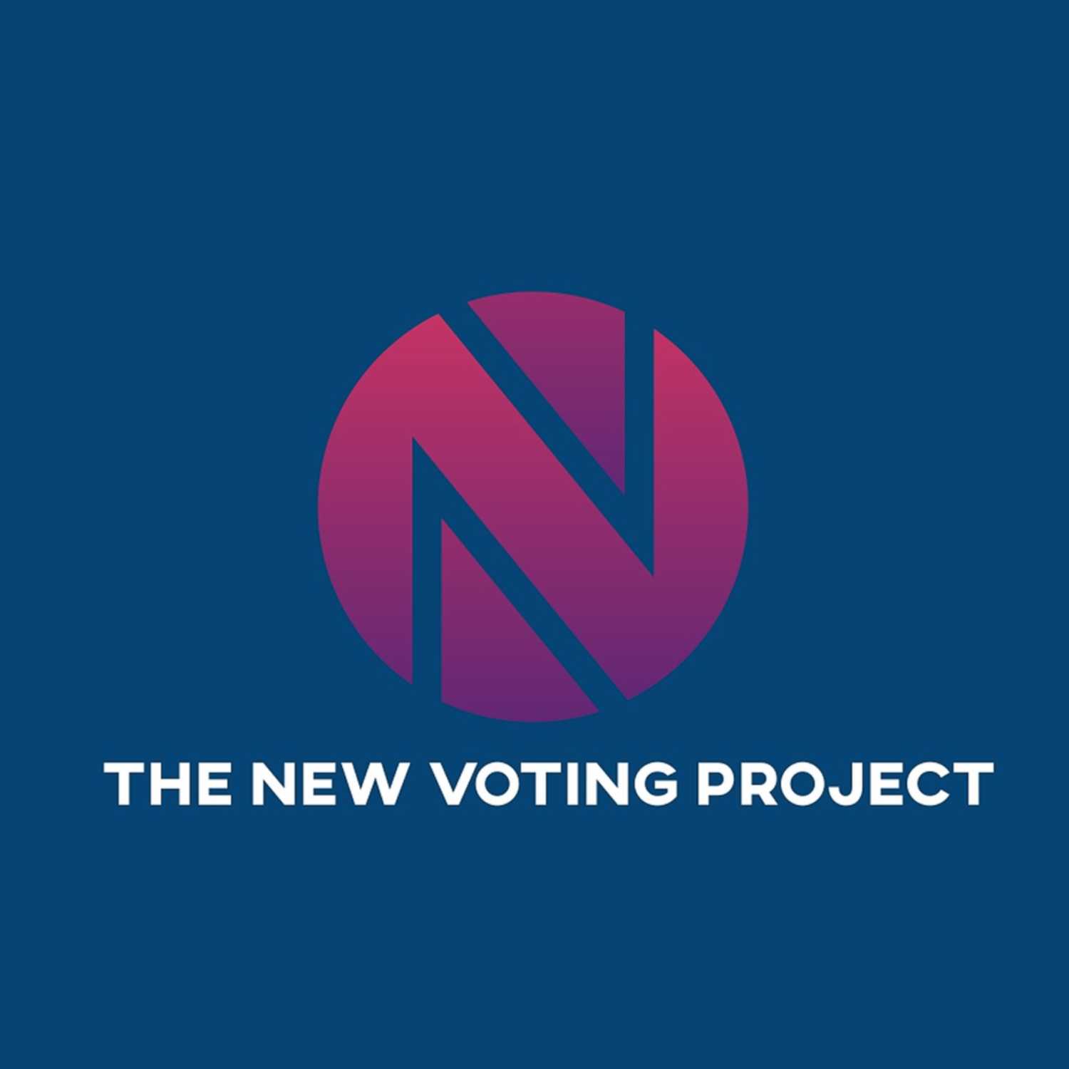 The New Voting Project