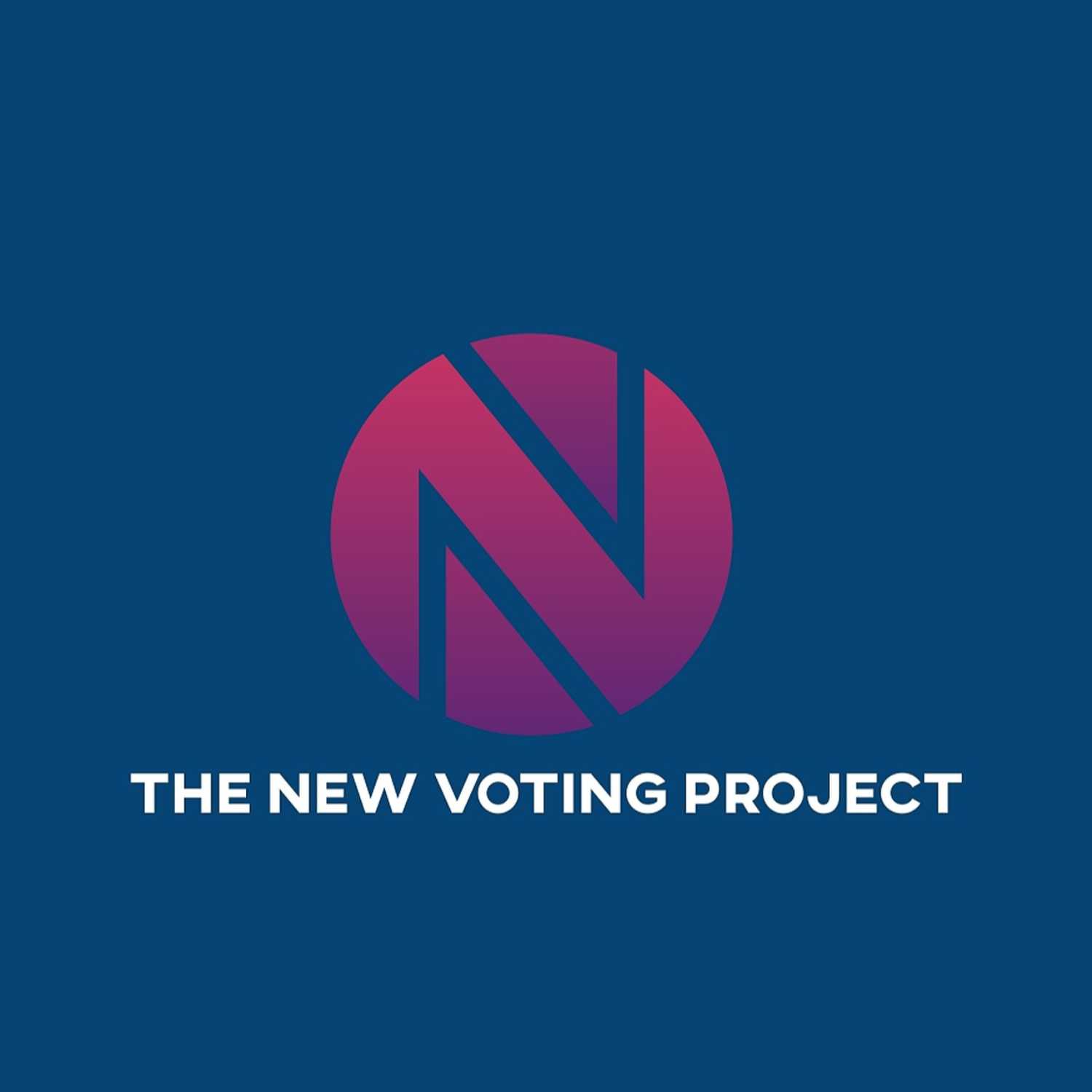 The New Voting Project