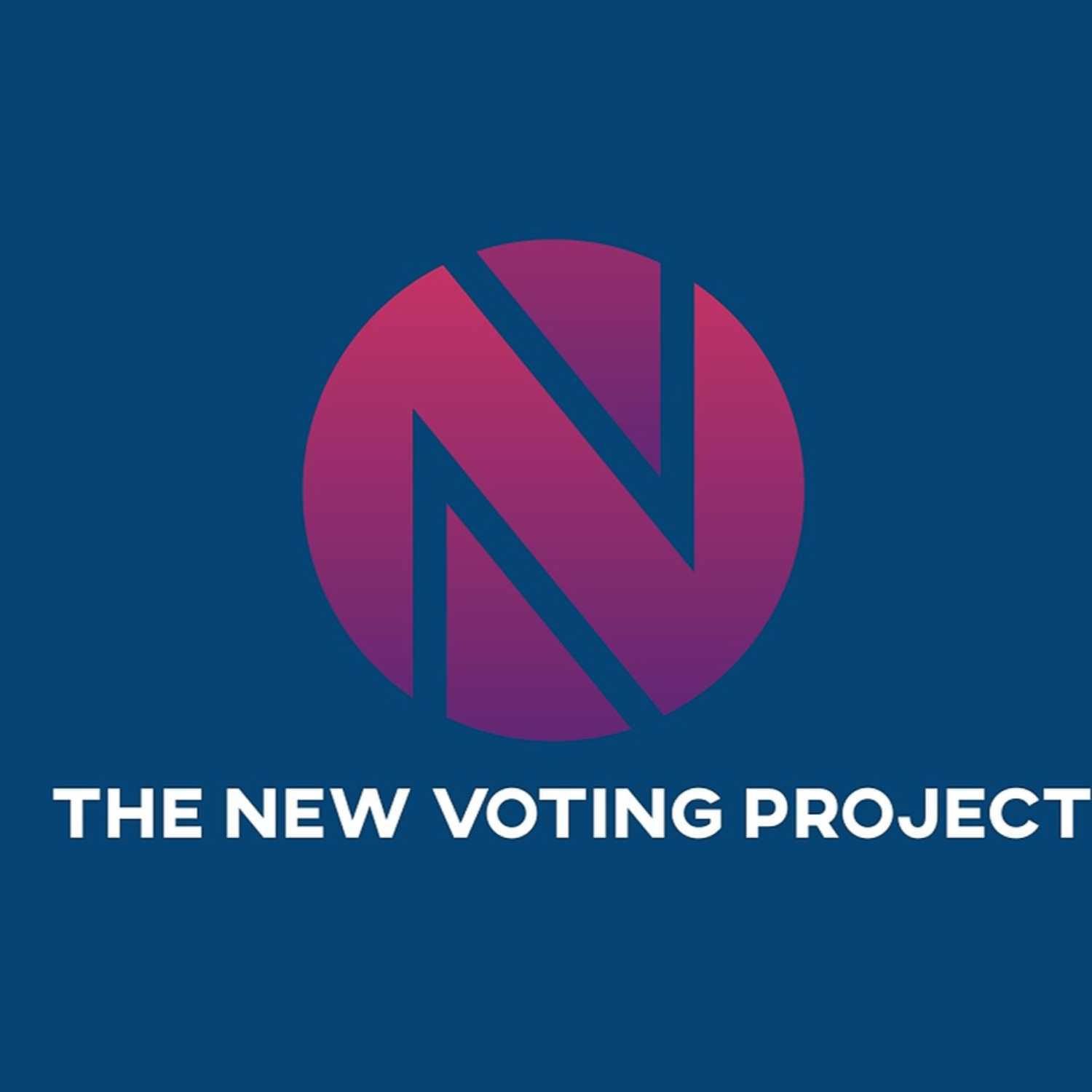 The New Voting Project