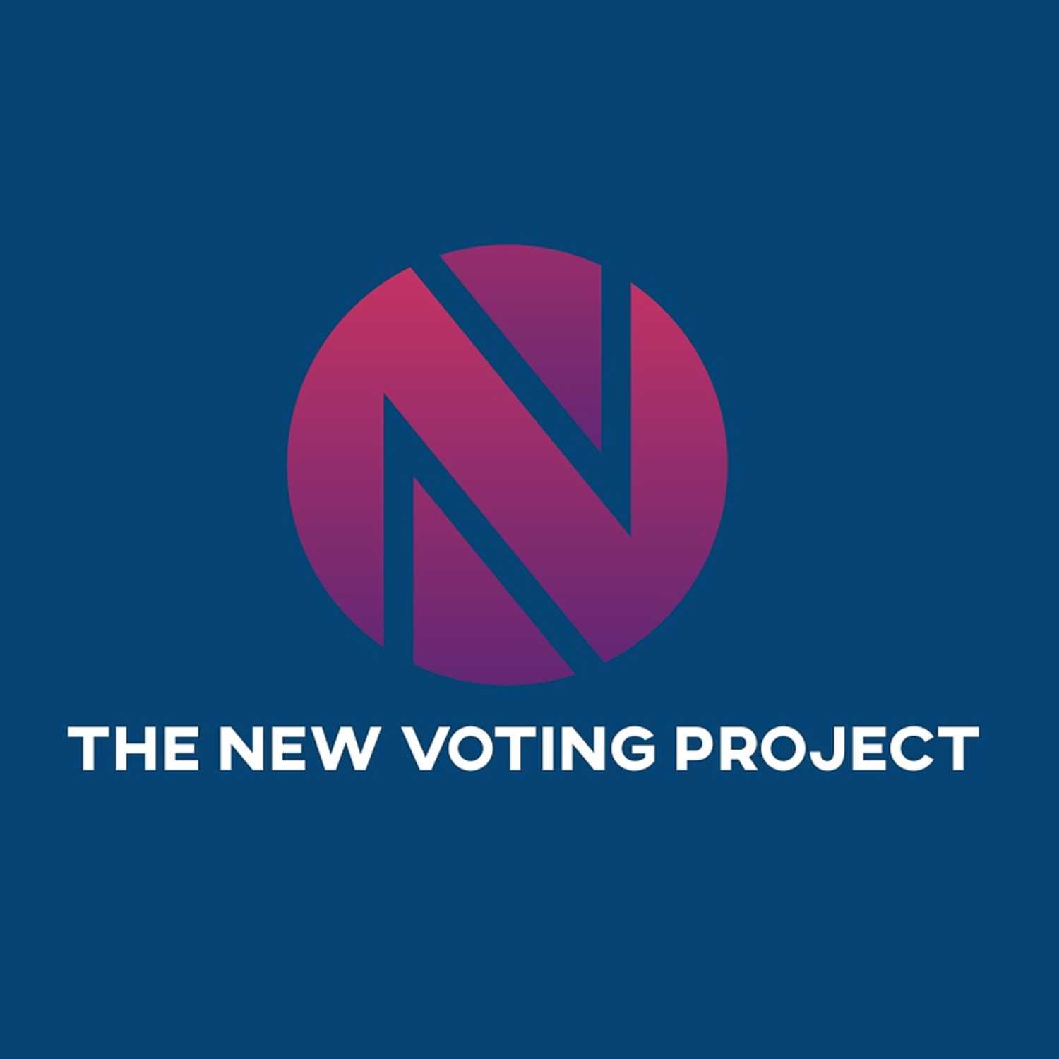The New Voting Project