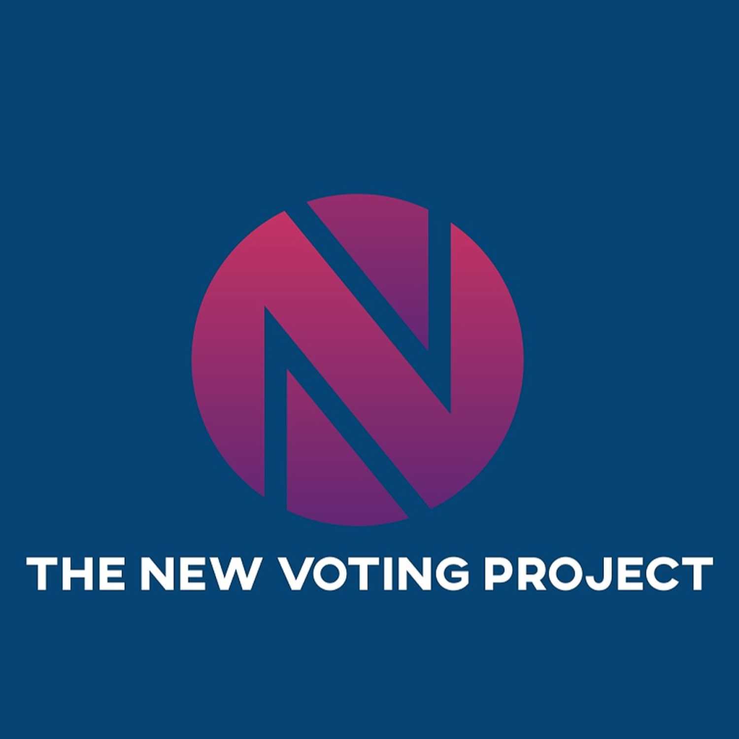 The New Voting Project
