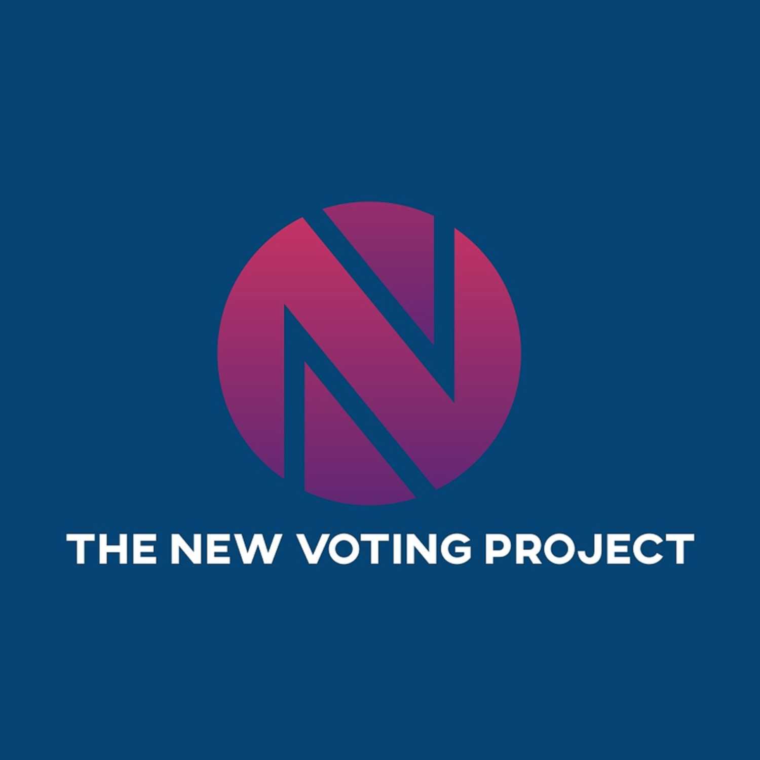 The New Voting Project