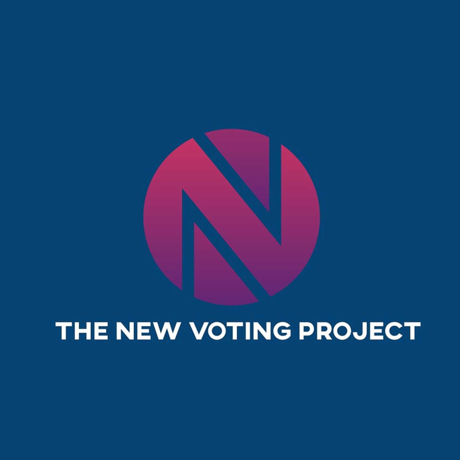 The New Voting Project