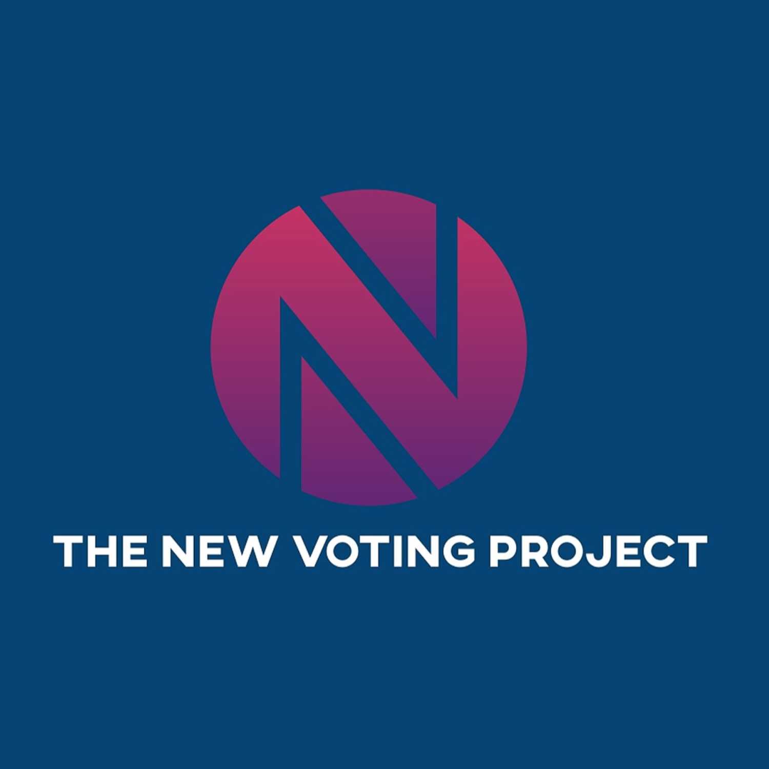 The New Voting Project