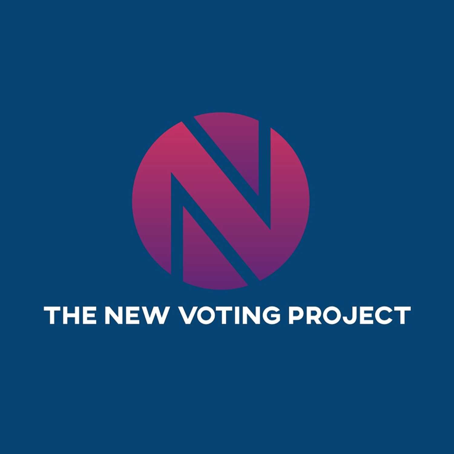 The New Voting Project