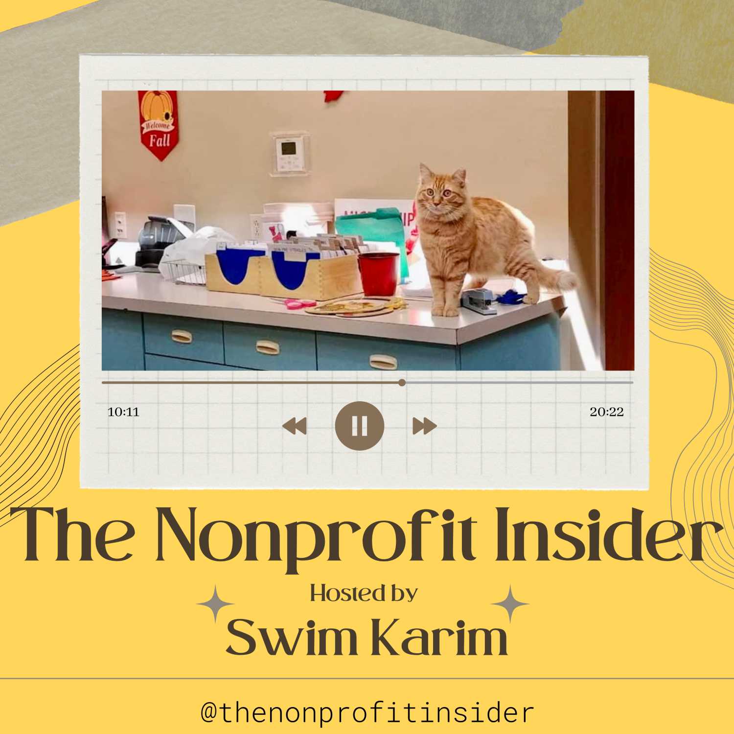 The Nonprofit Insider Podcast