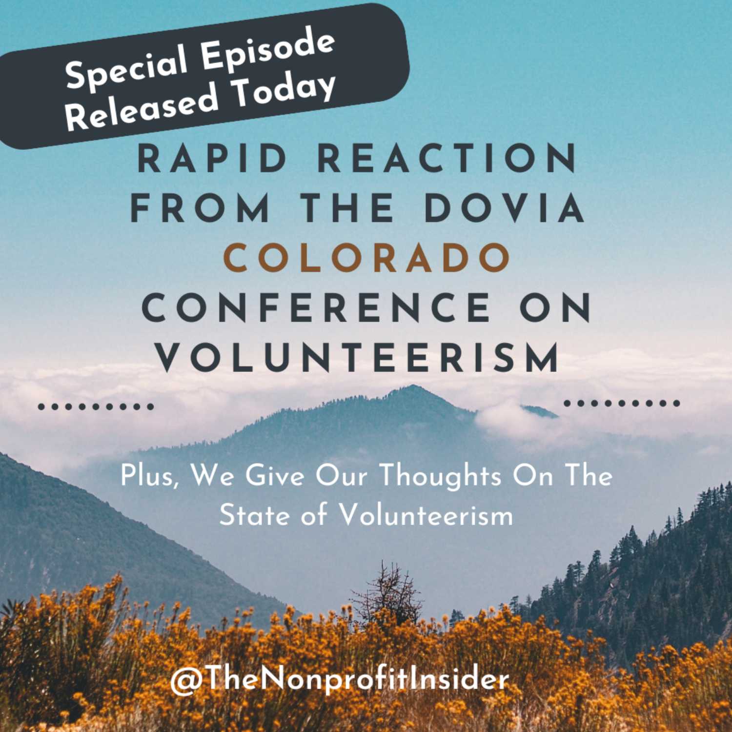 The Nonprofit Insider Podcast