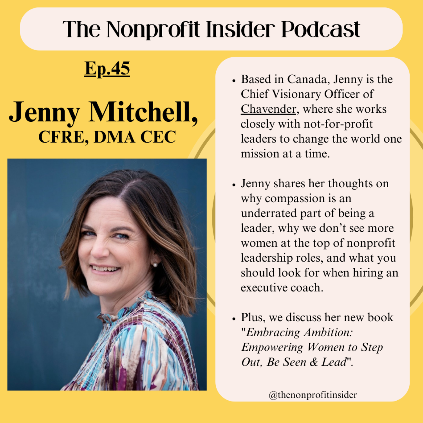 The Nonprofit Insider Podcast