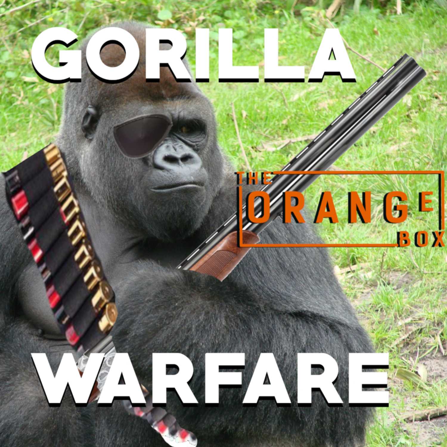 The Orange Box Podcast